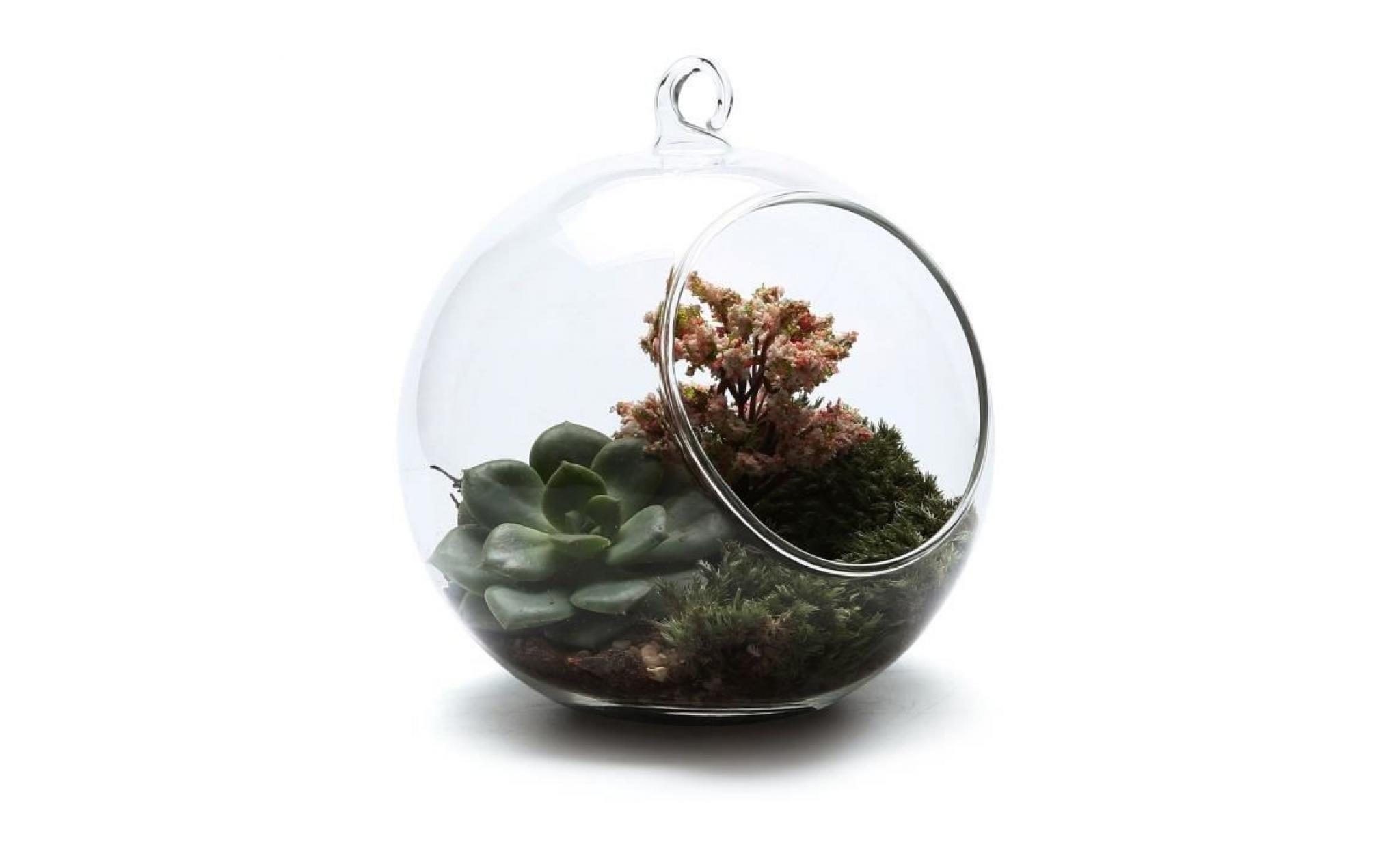 10cm pendentif en verre plante terrariums fleur récipient à pot de plante à air accueil bureau décoration de mariage porteur votif s