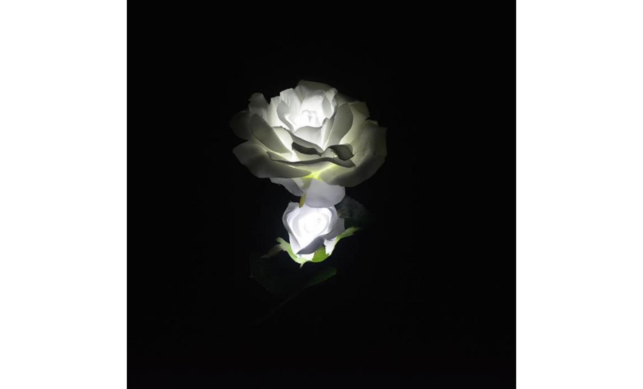 2 rose fleur blanc led lumière Énergie solaire extérieur maison jardin paysage lampe décor pas cher