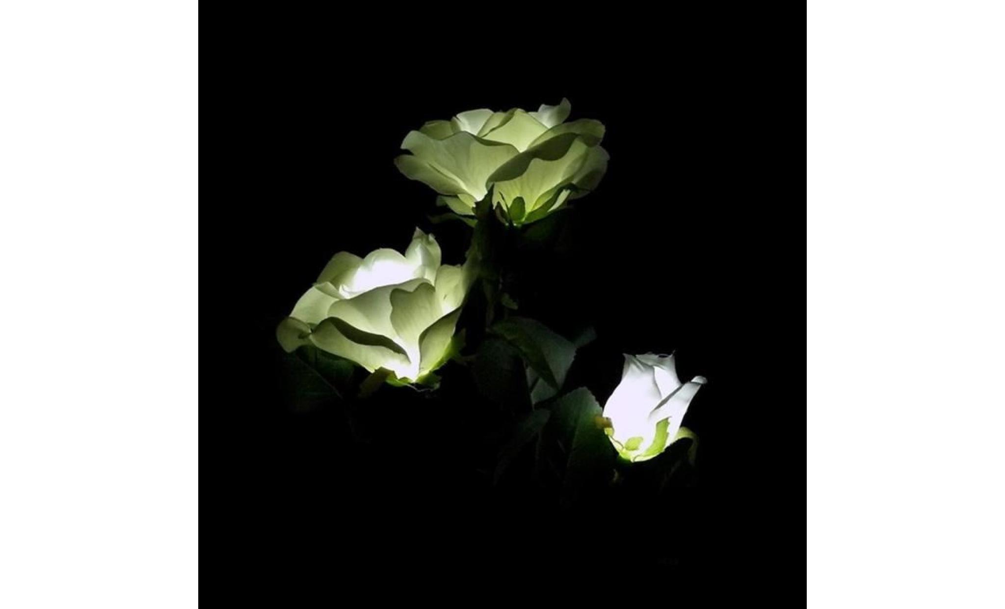 3 tête blanche rose fleur solaire lumière led décoratif d'extérieur lampe de pelouse maison 12022 pas cher