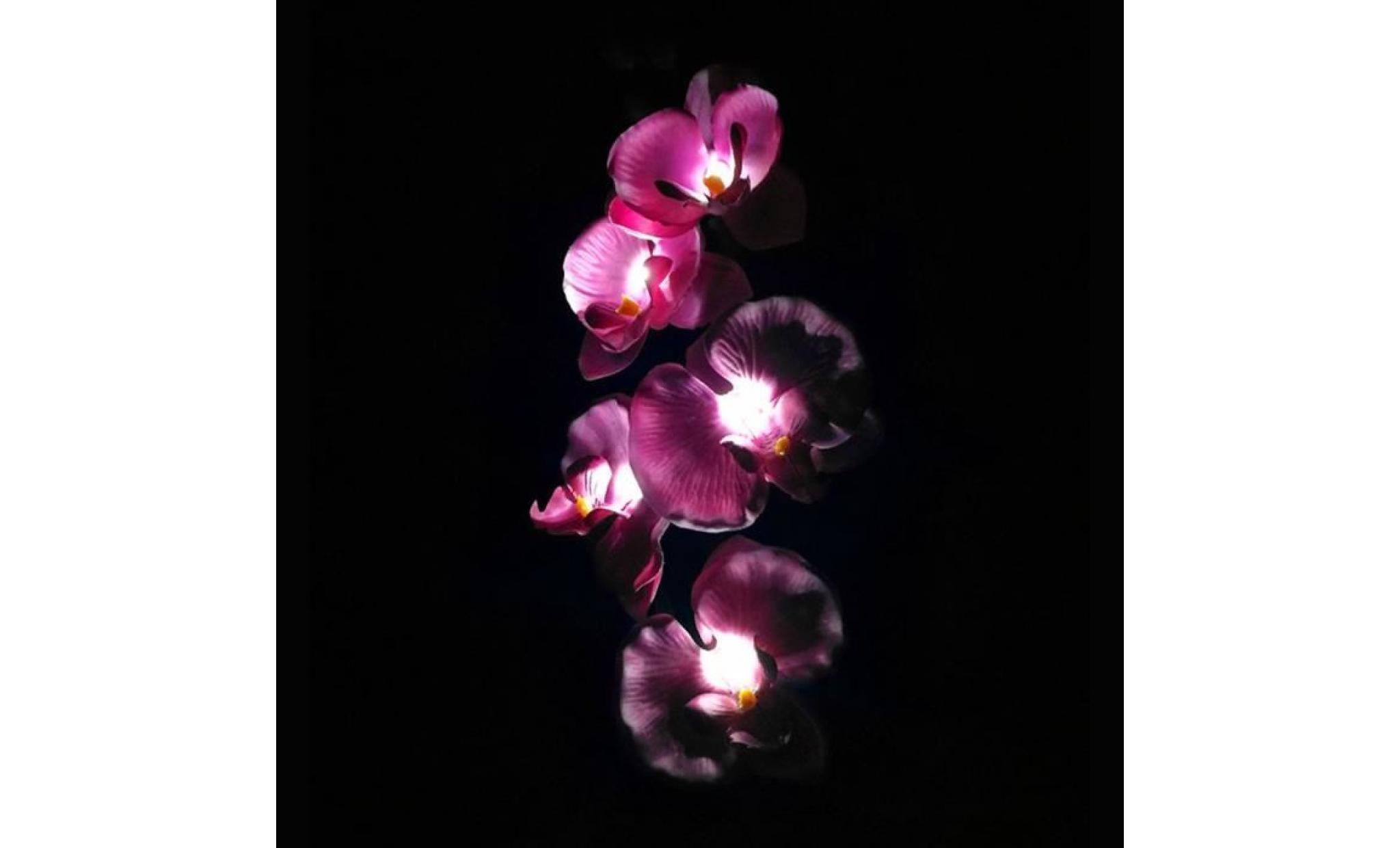 5 tête solaire led pelouse extérieure décorative lampe 5 tête de papillon solaire orchid_jjzm * 1428