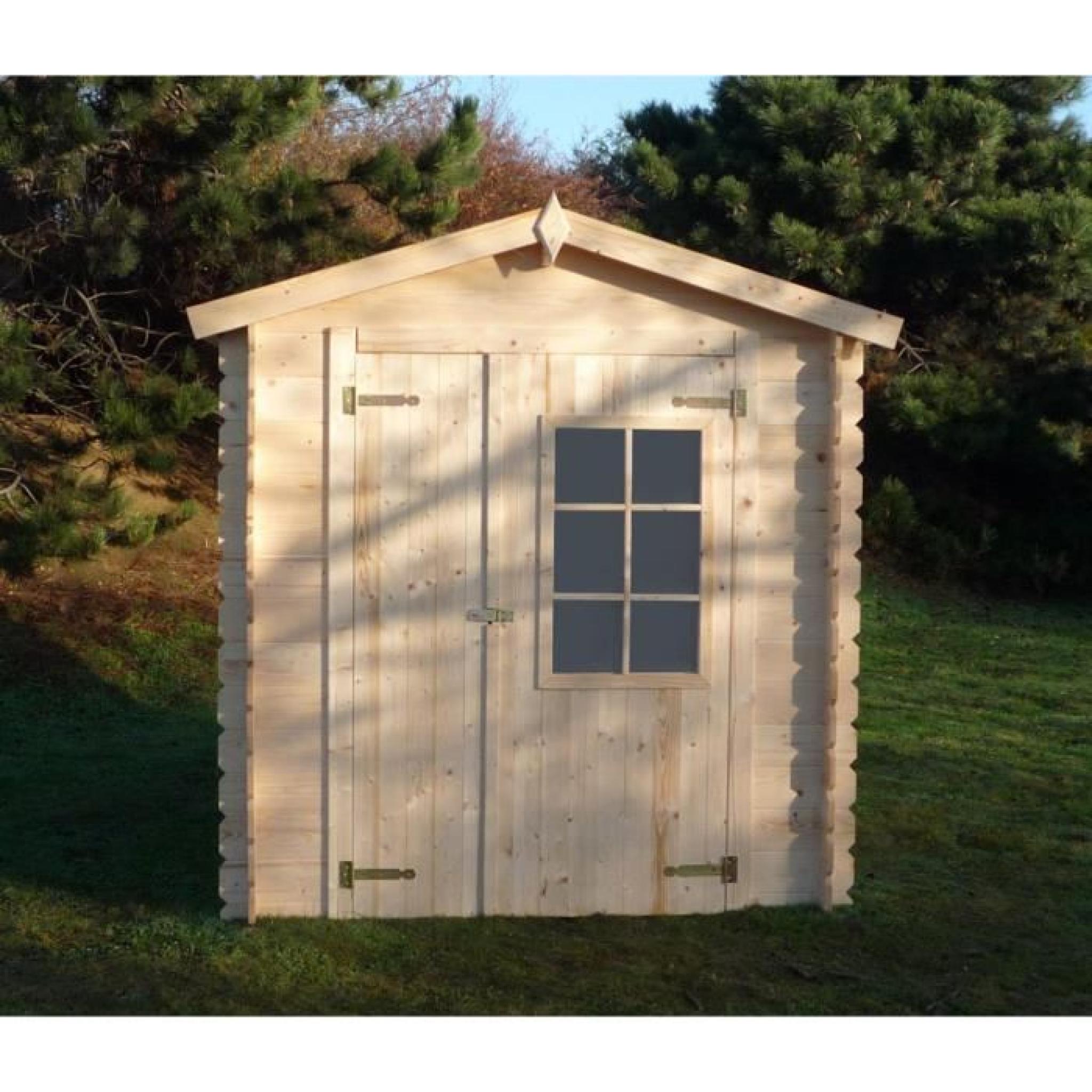 Abri de jardin en bois ave une porte à charnière, 210 x 200 x 213 cm pas cher