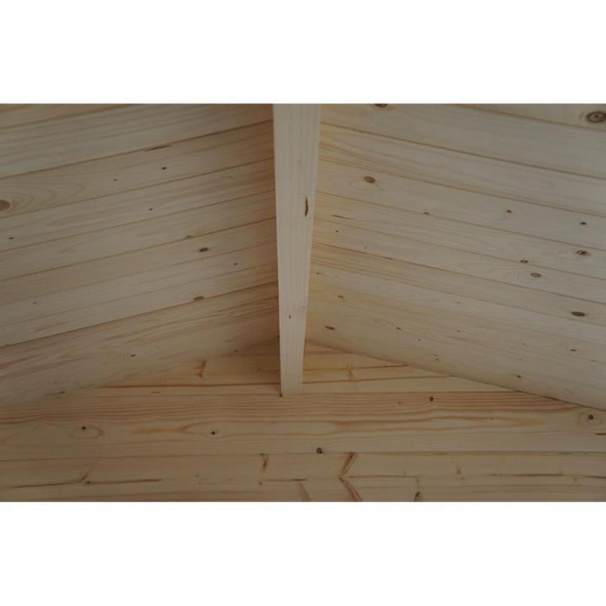 Abri de jardin en bois avec double portes, 300 x 300 x 212 cm pas cher