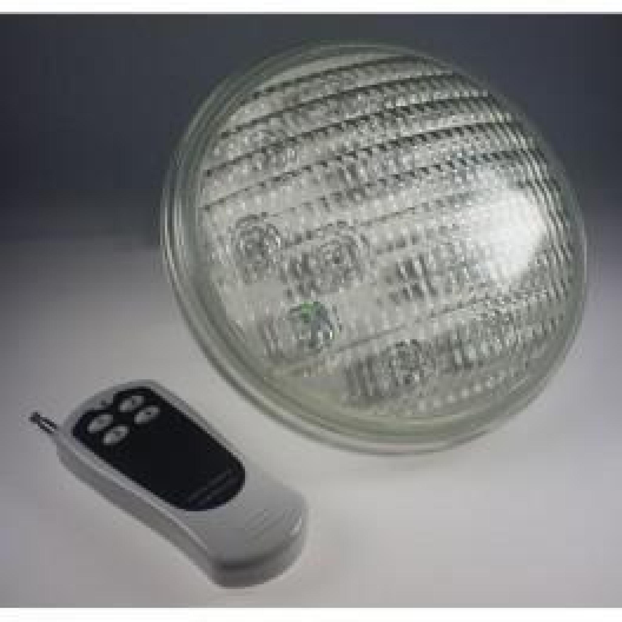 Ampoule PAR56 18x3 w LED avec télécommande