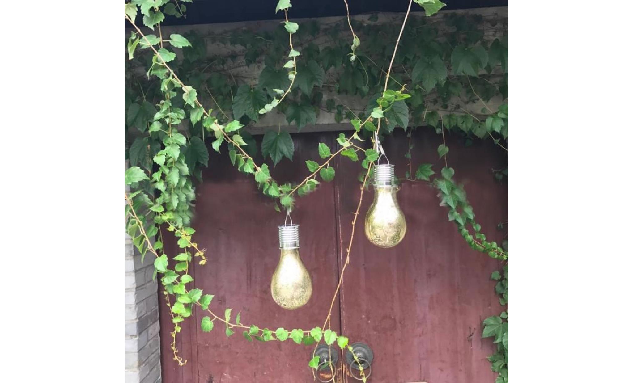 ampoules solaires led 1pc lampe de soleil en verre avec clip pour jardin extérieur, pelouse pas cher