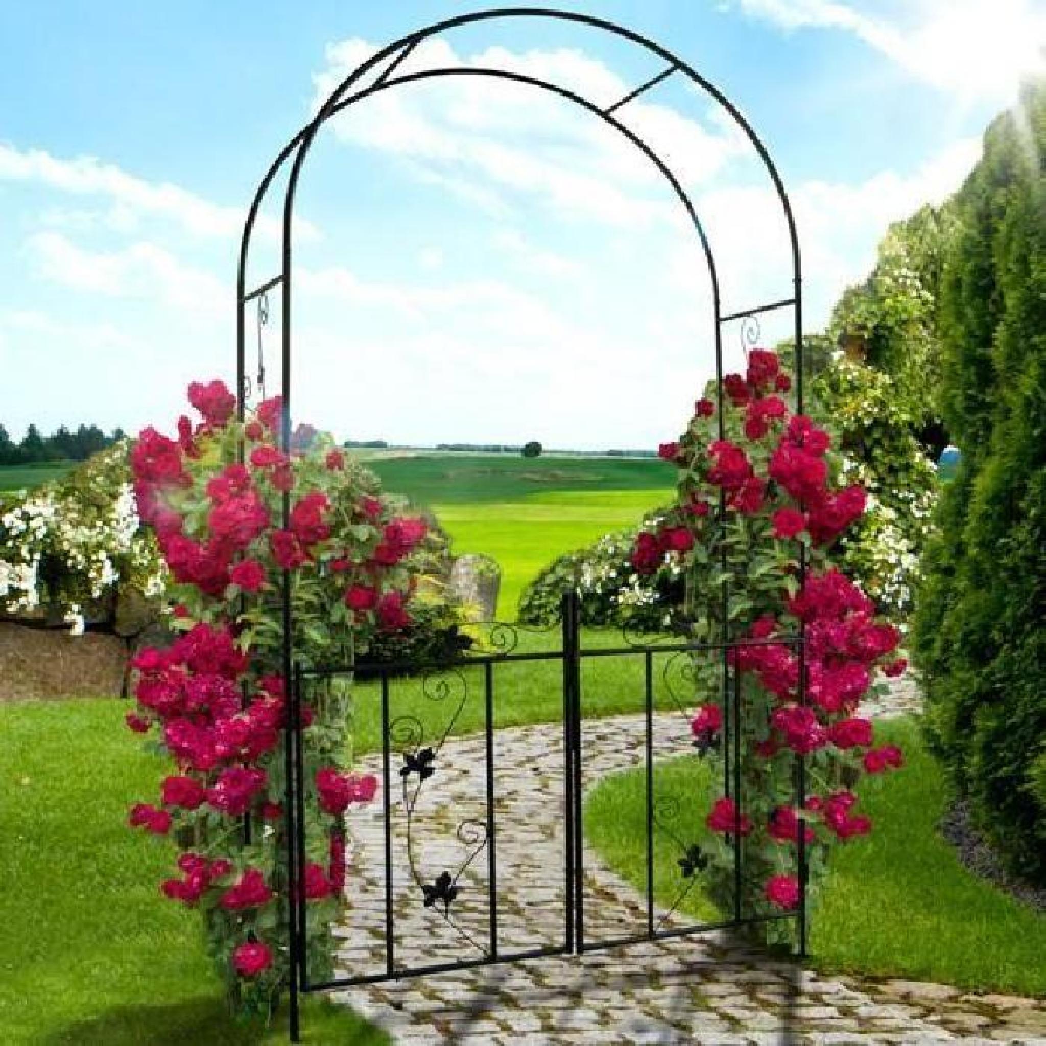 Arche à rosiers de jardin - avec portillon - 110 x 214 x 38 cm - en acier