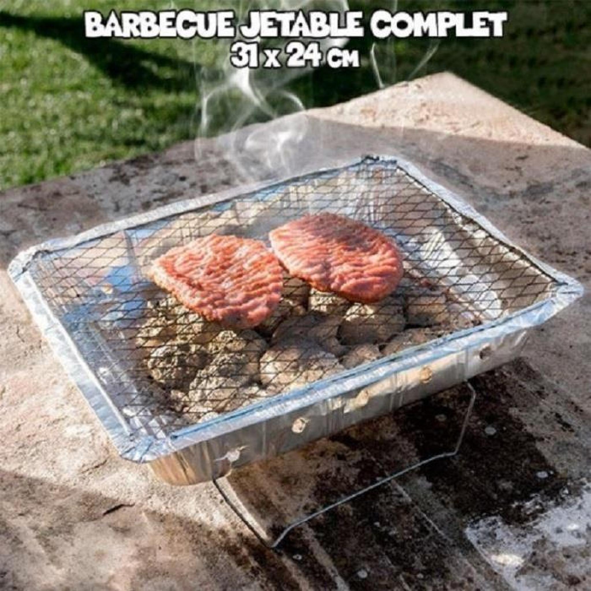 Barbecue jetable complet - 31x24 cm