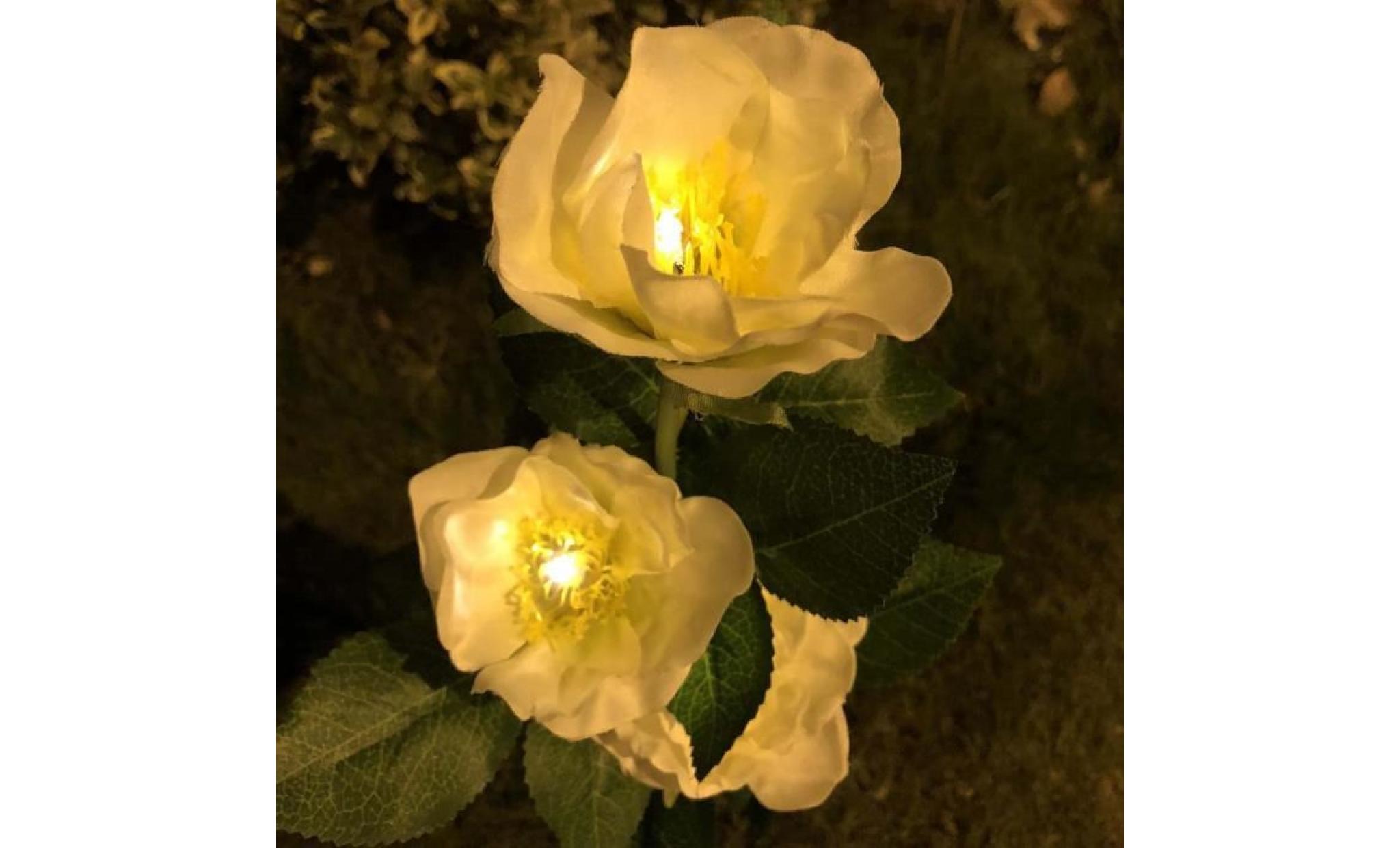 camellia   lumières solaires de pelouse décoration de jardin led blanc chaud gd46