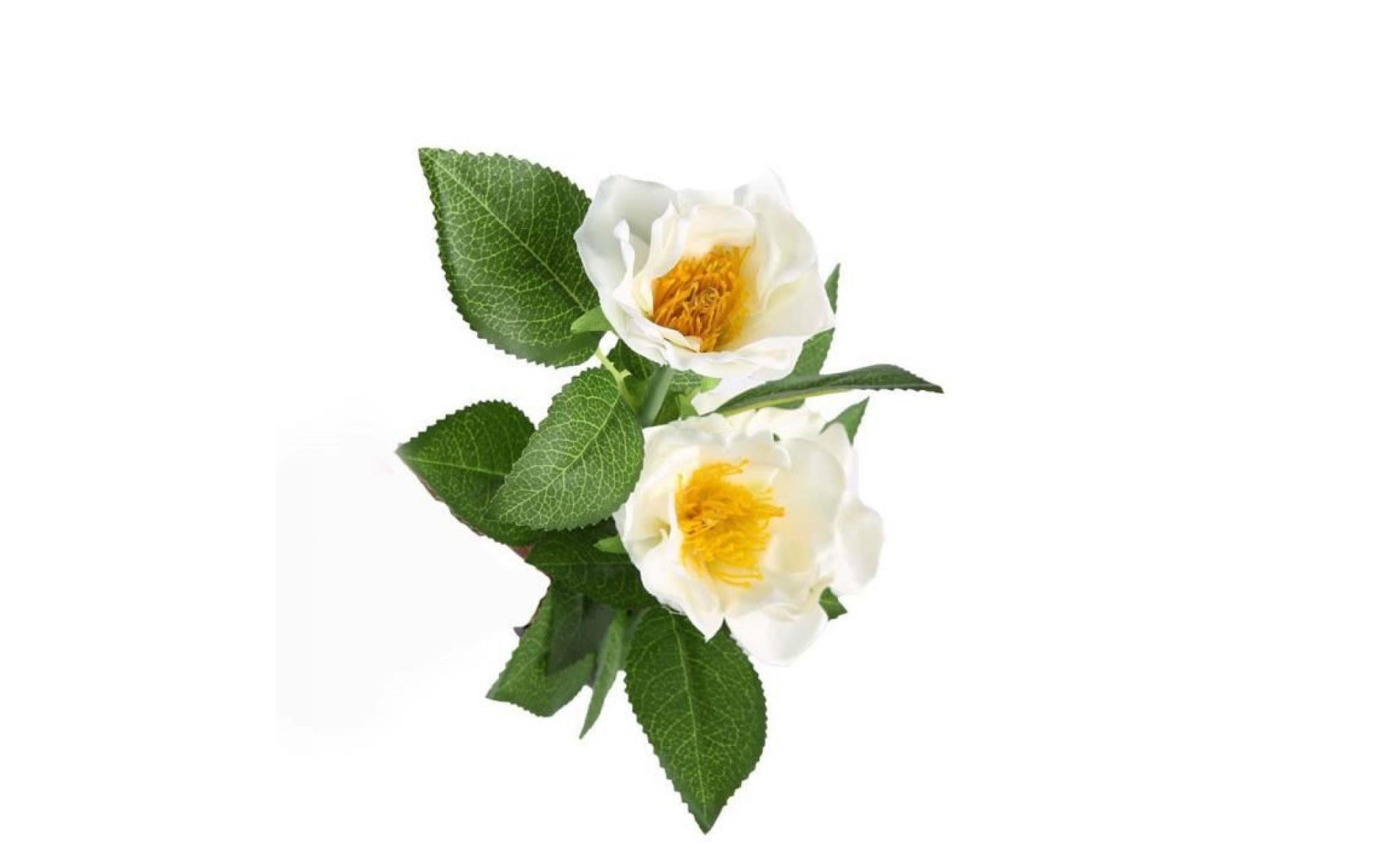 camellia   lumières solaires de pelouse décoration de jardin led blanc chaud #si46 pas cher