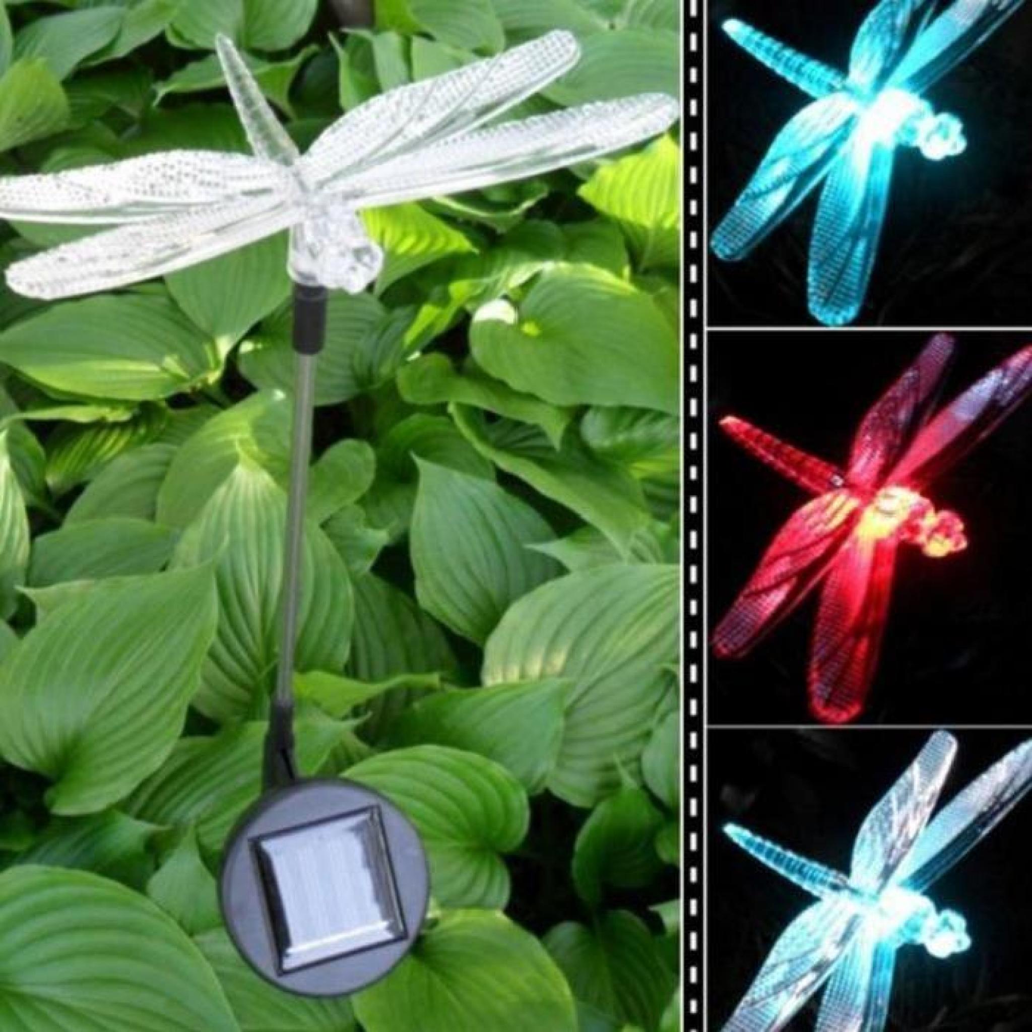 Chemin LED Lumière solaire de jardin en plein air, Paysage, Pelouse en plastique Lampe Drangonfly