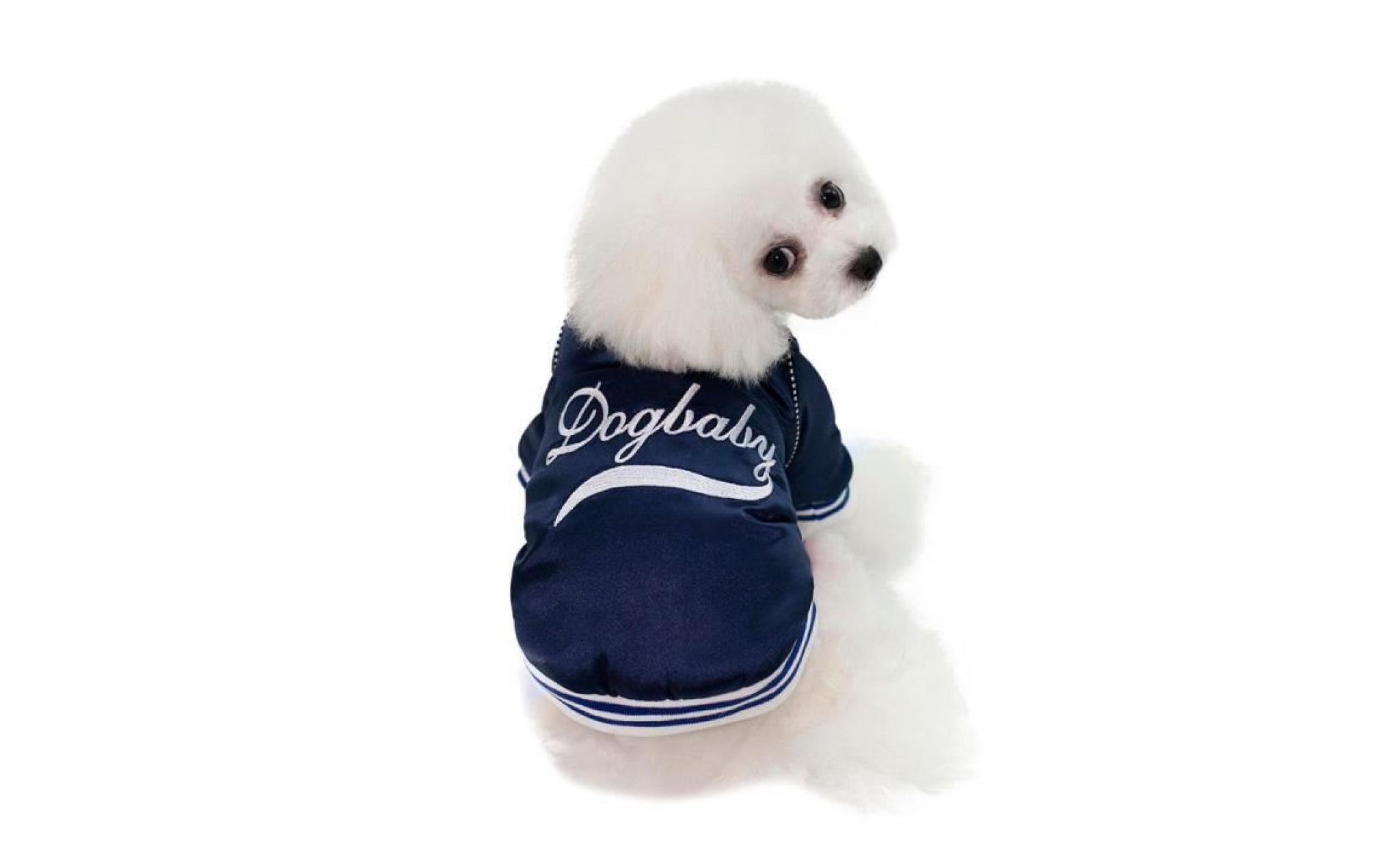 code bleu foncé xl dogbaby chien nouvelle usine spot vêtements d'hiver directe commerce extérieur modèles d'explosion taobao coton
