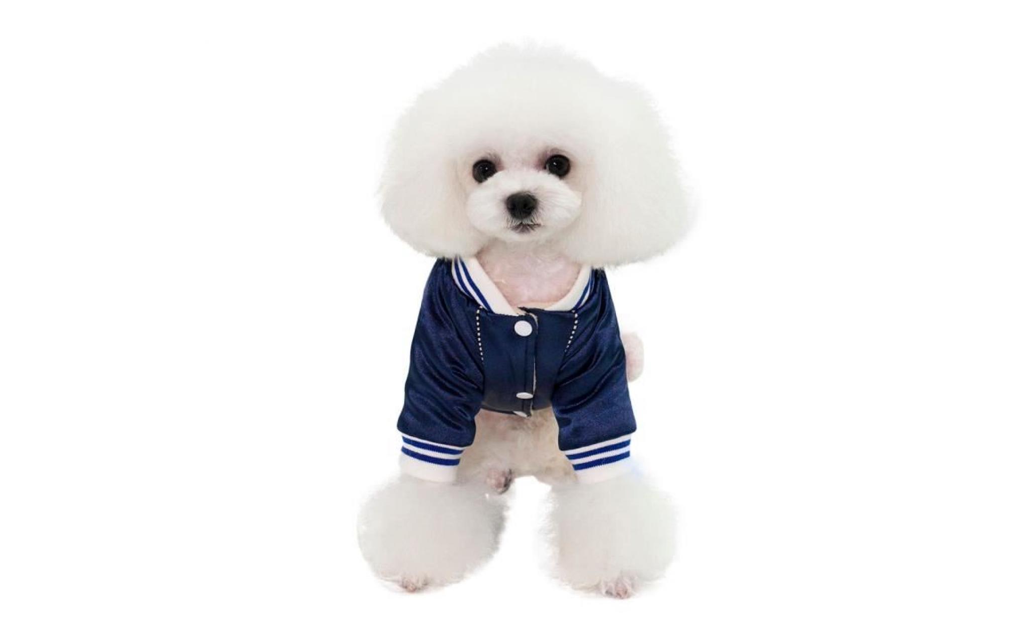 code xxl bleu foncé dogbaby chien nouvelle usine spot vêtements d'hiver directe commerce extérieur modèles d'explosion taobao coton pas cher