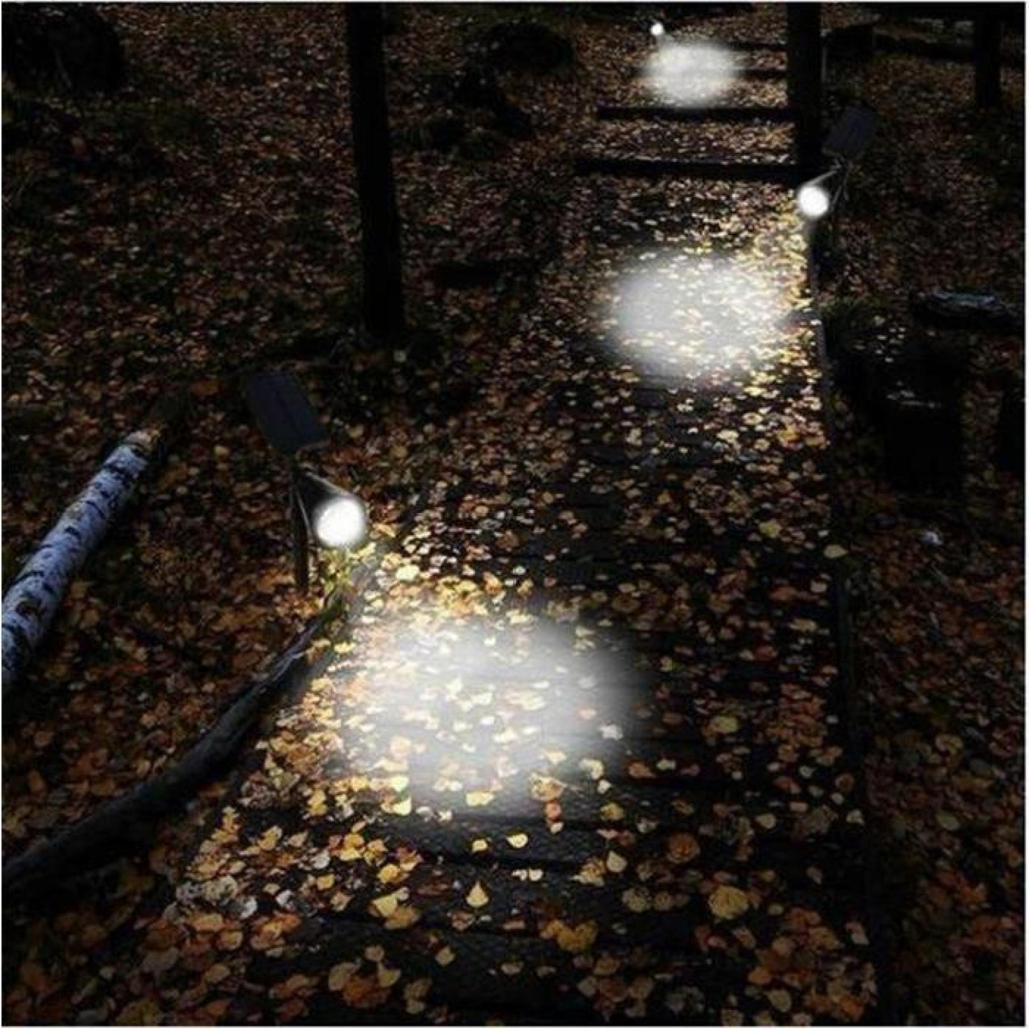 DJY 4 LED Imperméable lampes de jardin en plein air solaire lumières lampes de jardin lampe de projection de Dengcao pas cher