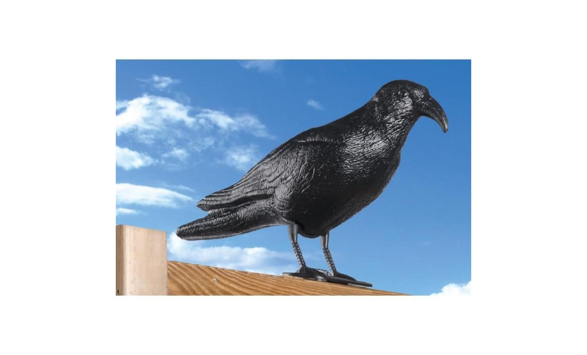 effaroucheur à pigeons   design de corbeau