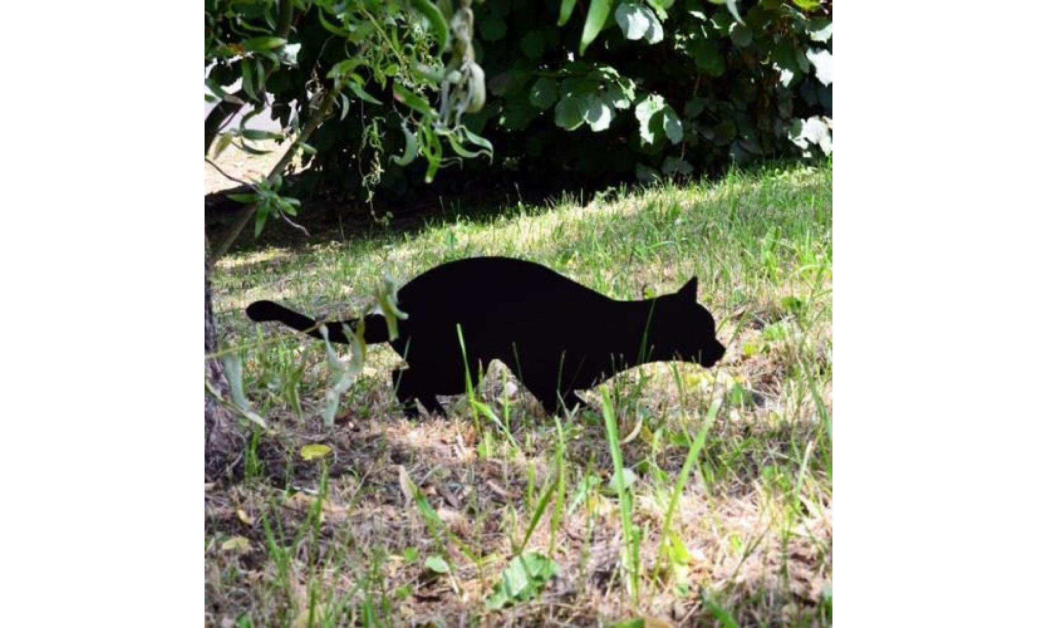 Épouvantail chat à planter dans le jardin