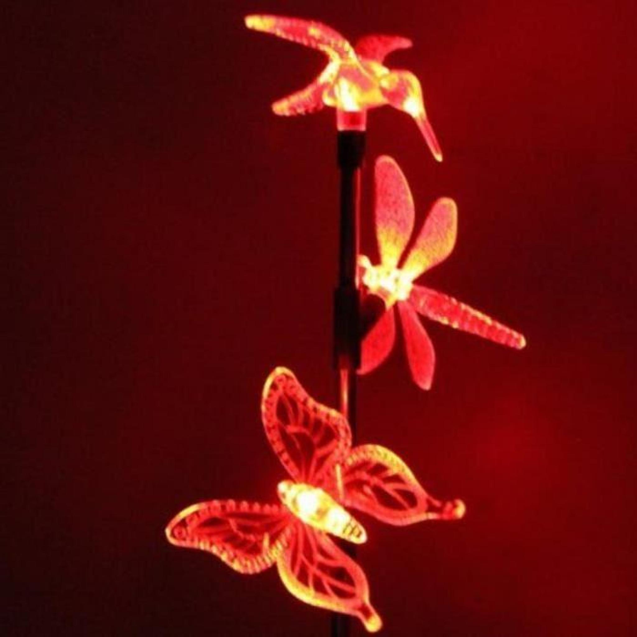 Extérieur Lampes solaires - Dragonfly - papillon - oiseaux pas cher