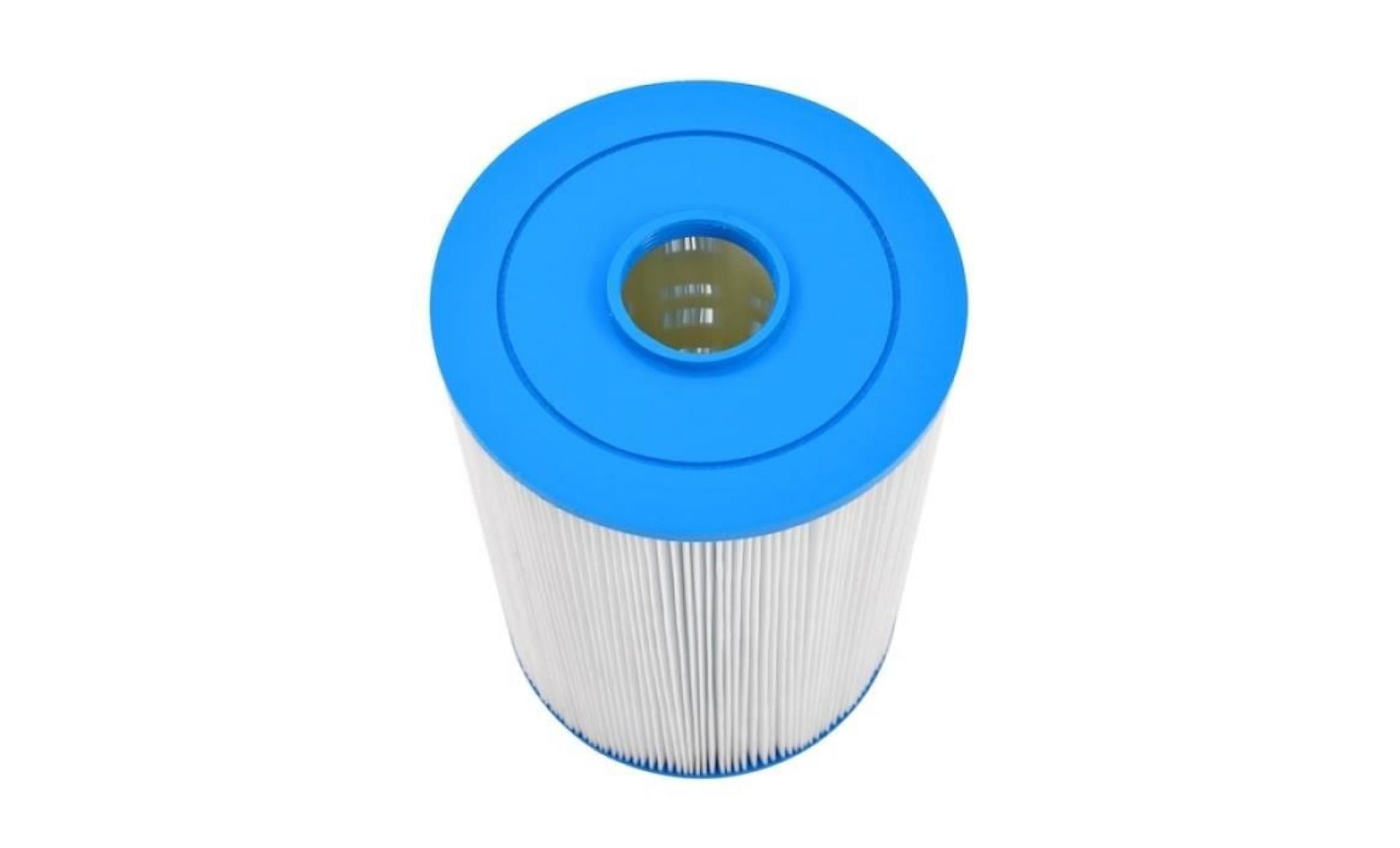 filtre pour spa hot spring ou watkins 80507 / pwk50 30,20 cm pas cher