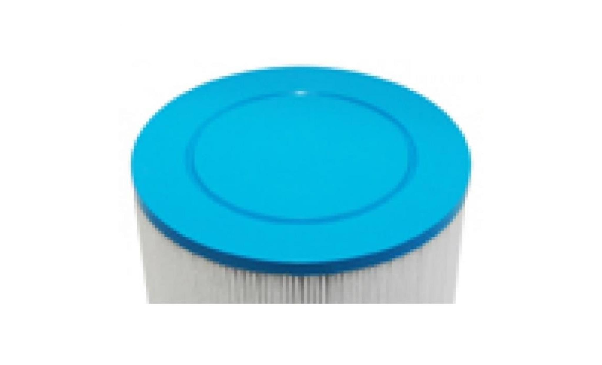 filtre spa softub 5020 (modèles après 2010) 19 cm pas cher