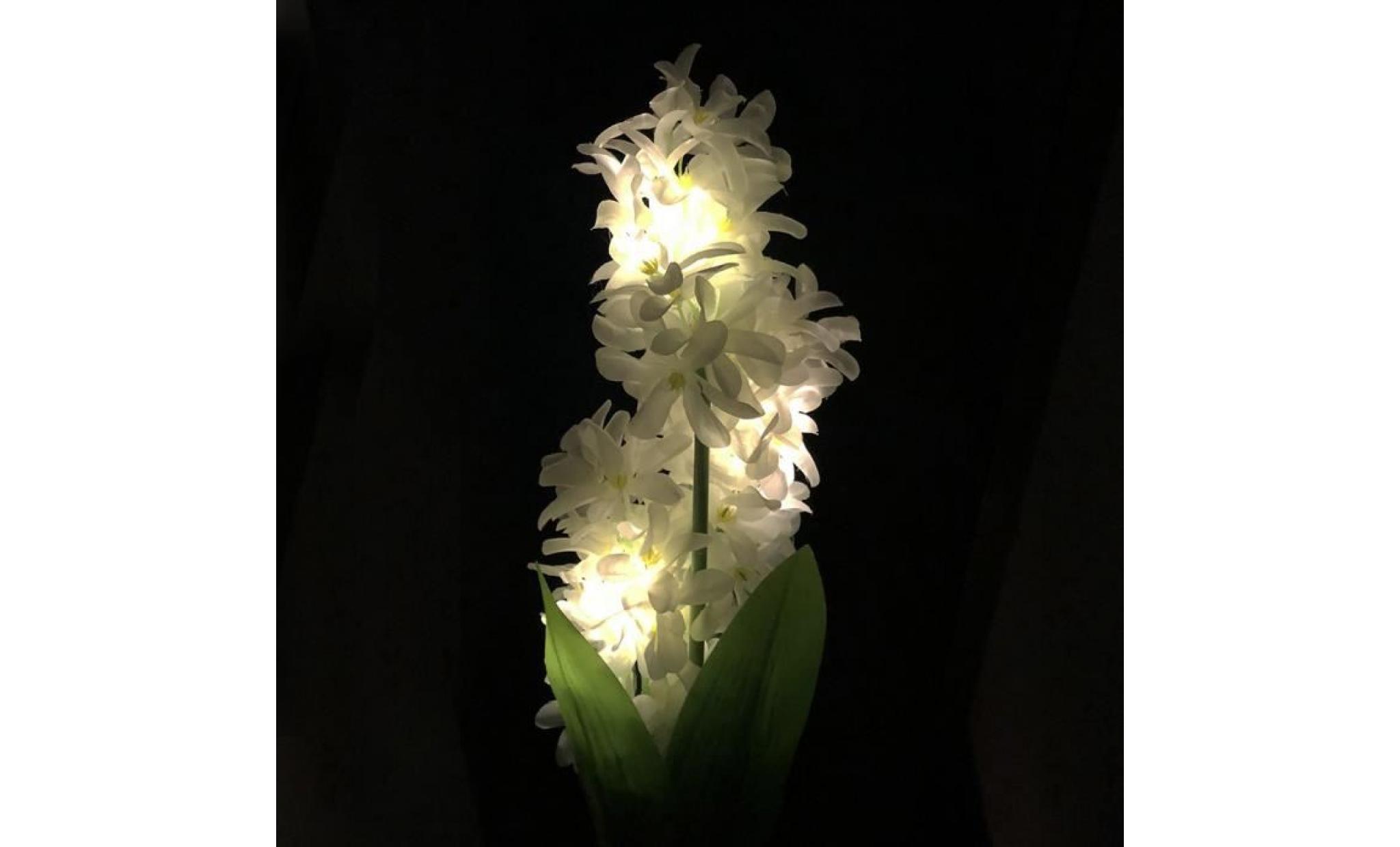 hyacinth   lampe à led solaire   blanc chaud gd42