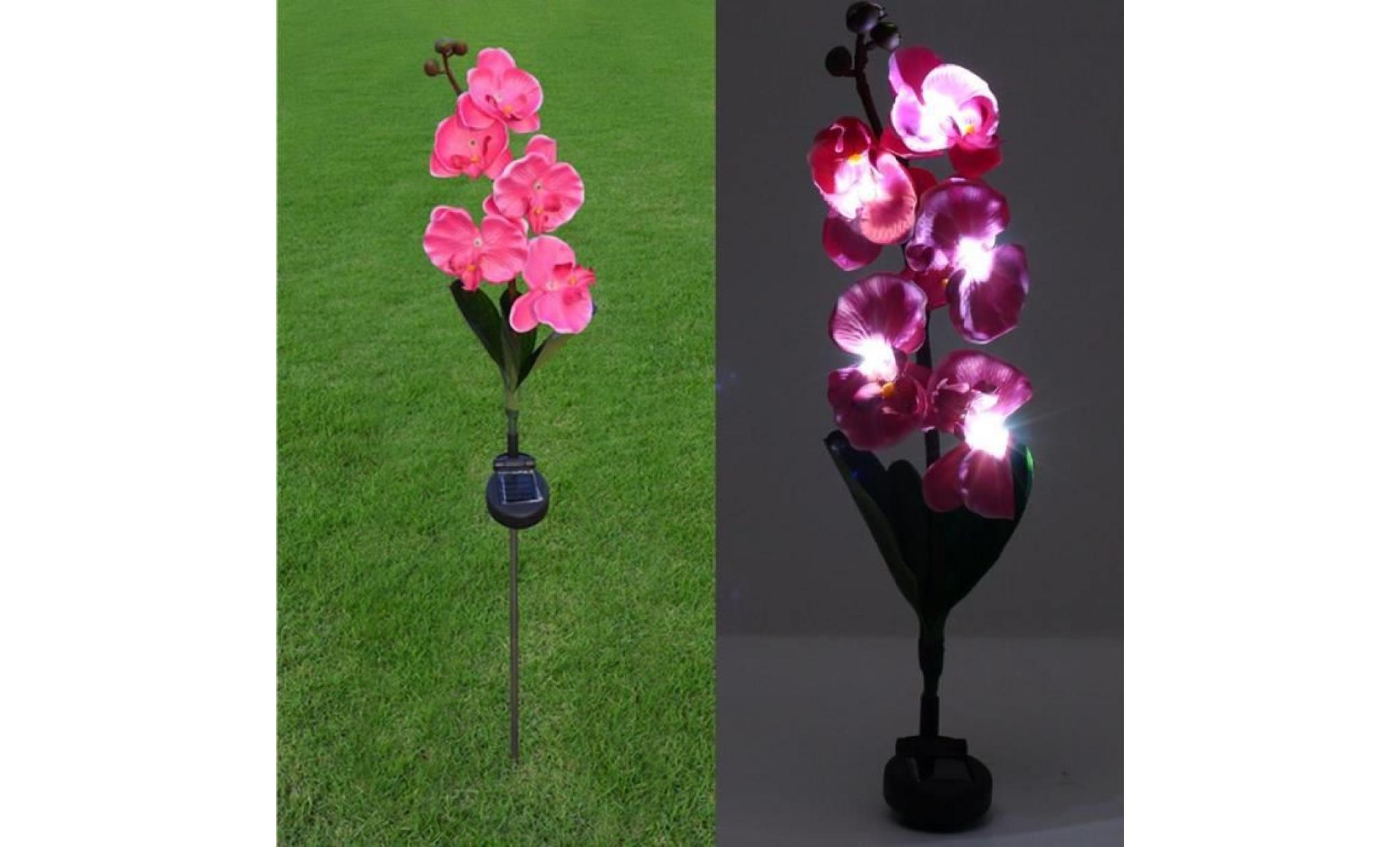 jardin extérieur lumière fleur phalaenopsis Énergie solaire paysage lampe