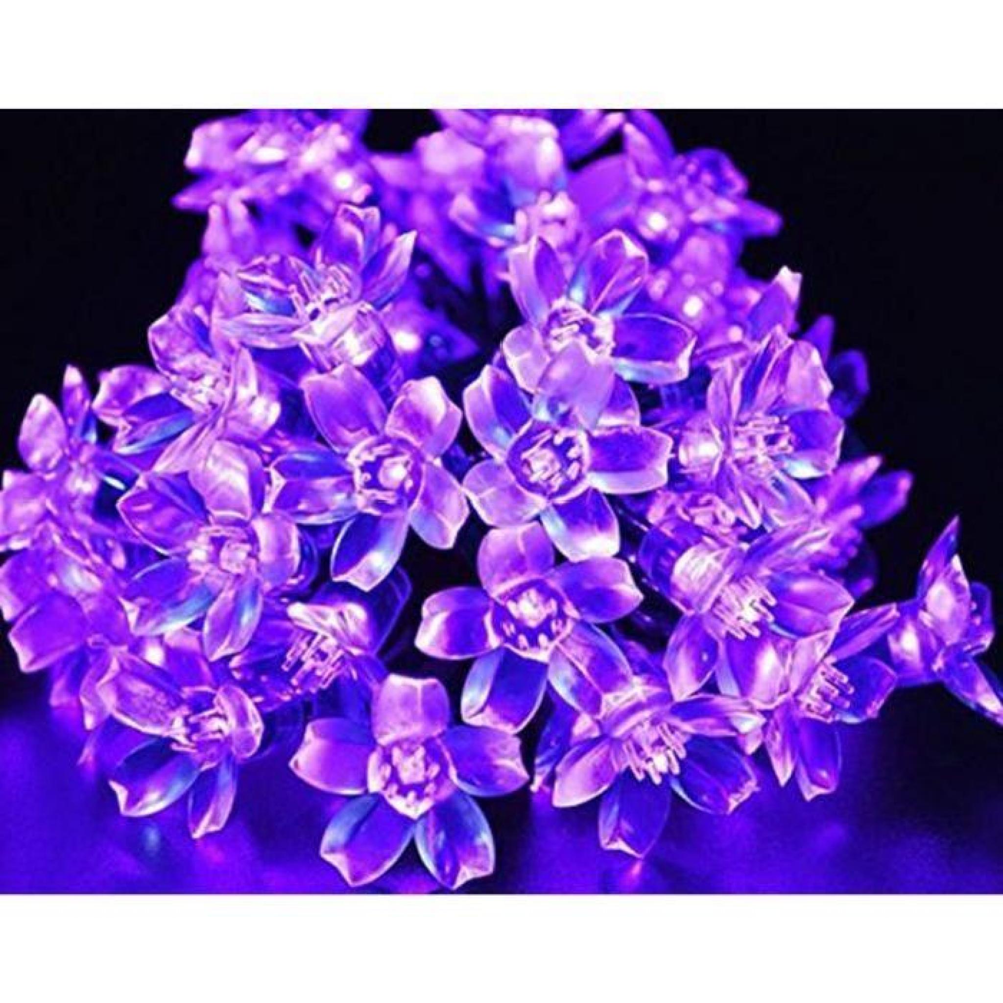 LED violet Guirlande Lumineuse Solaire, Étanche, 7 mètres, 50 LEDs, 1.2V, avec Capteur de Lumière, LED Lampe Ampoule éclairage Solai