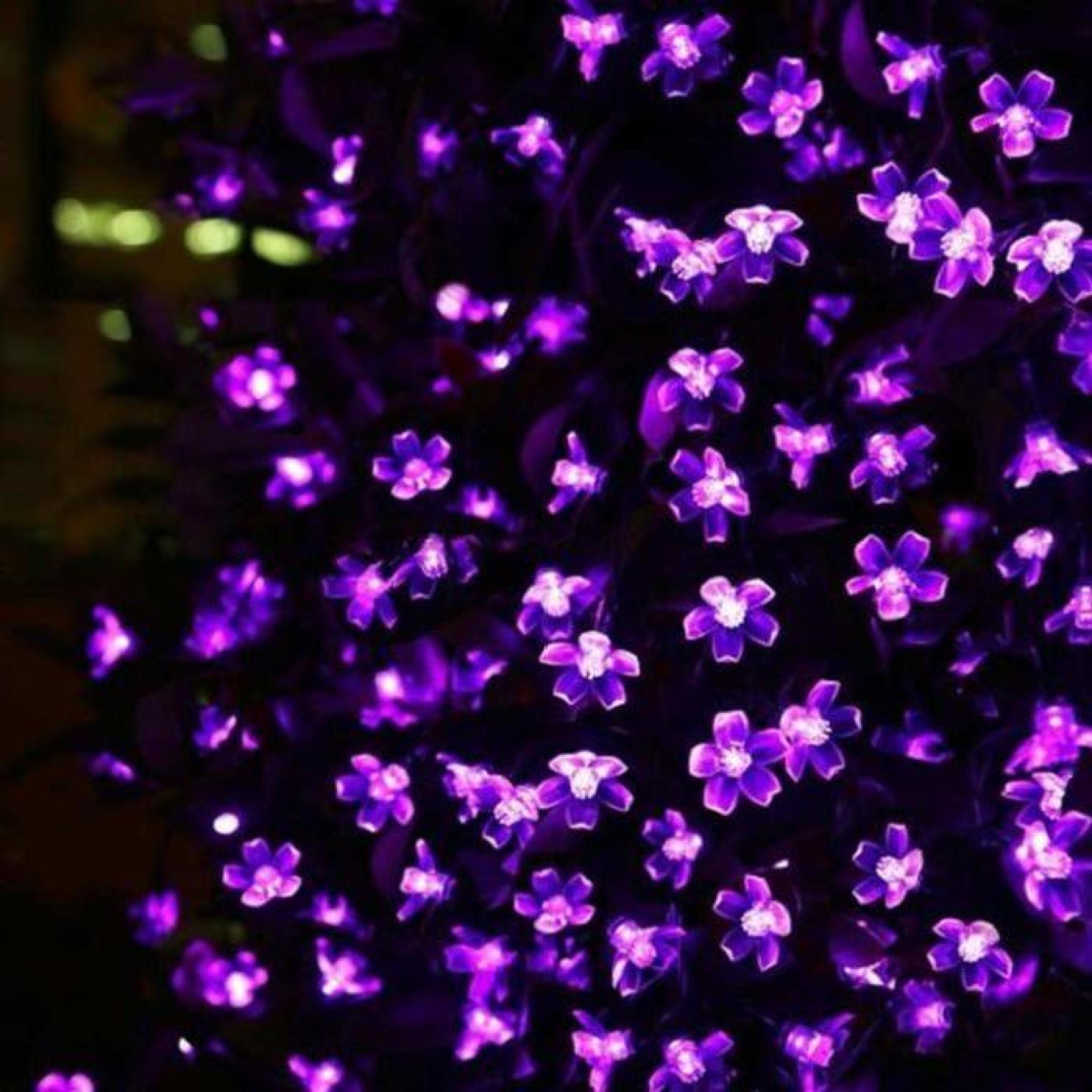 LED violet Guirlande Lumineuse Solaire, Étanche, 7 mètres, 50 LEDs, 1.2V, avec Capteur de Lumière, LED Lampe Ampoule éclairage Solai pas cher