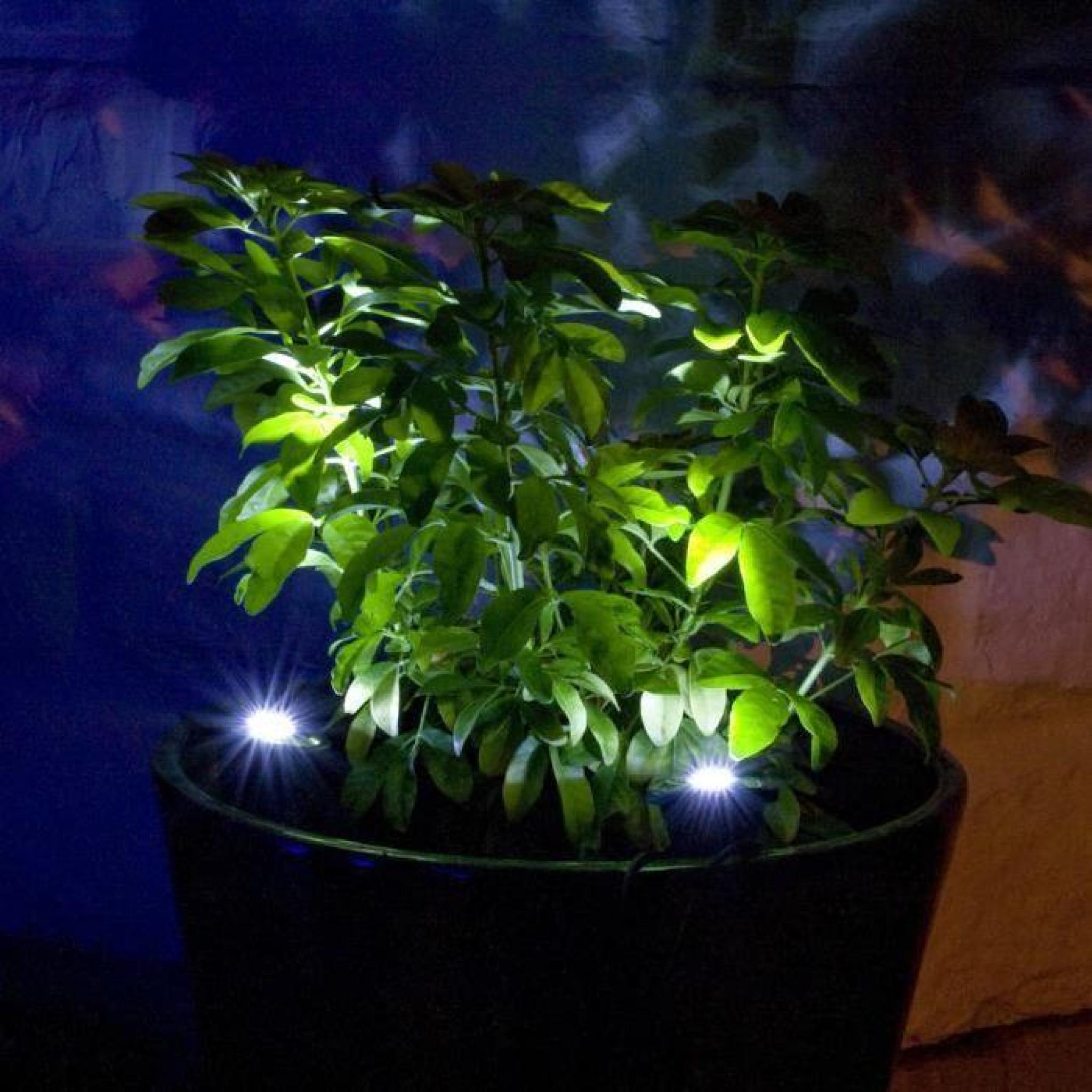 Lot de 2 Spots Solaires LED Blanches pour Jardin pas cher