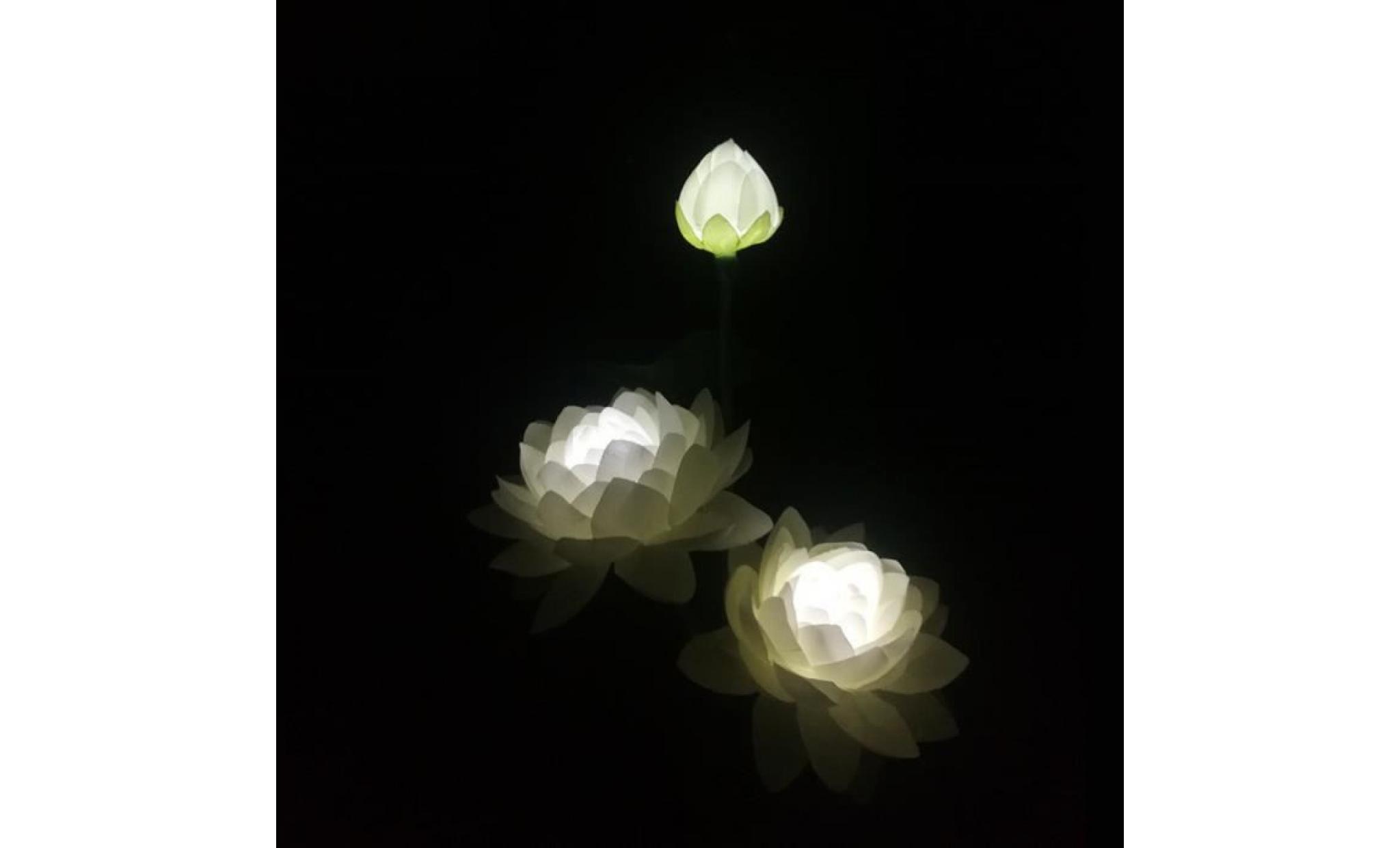 lumière solaire lotus lumière solaire lotus blanc lzx80905736wh_812 pas cher