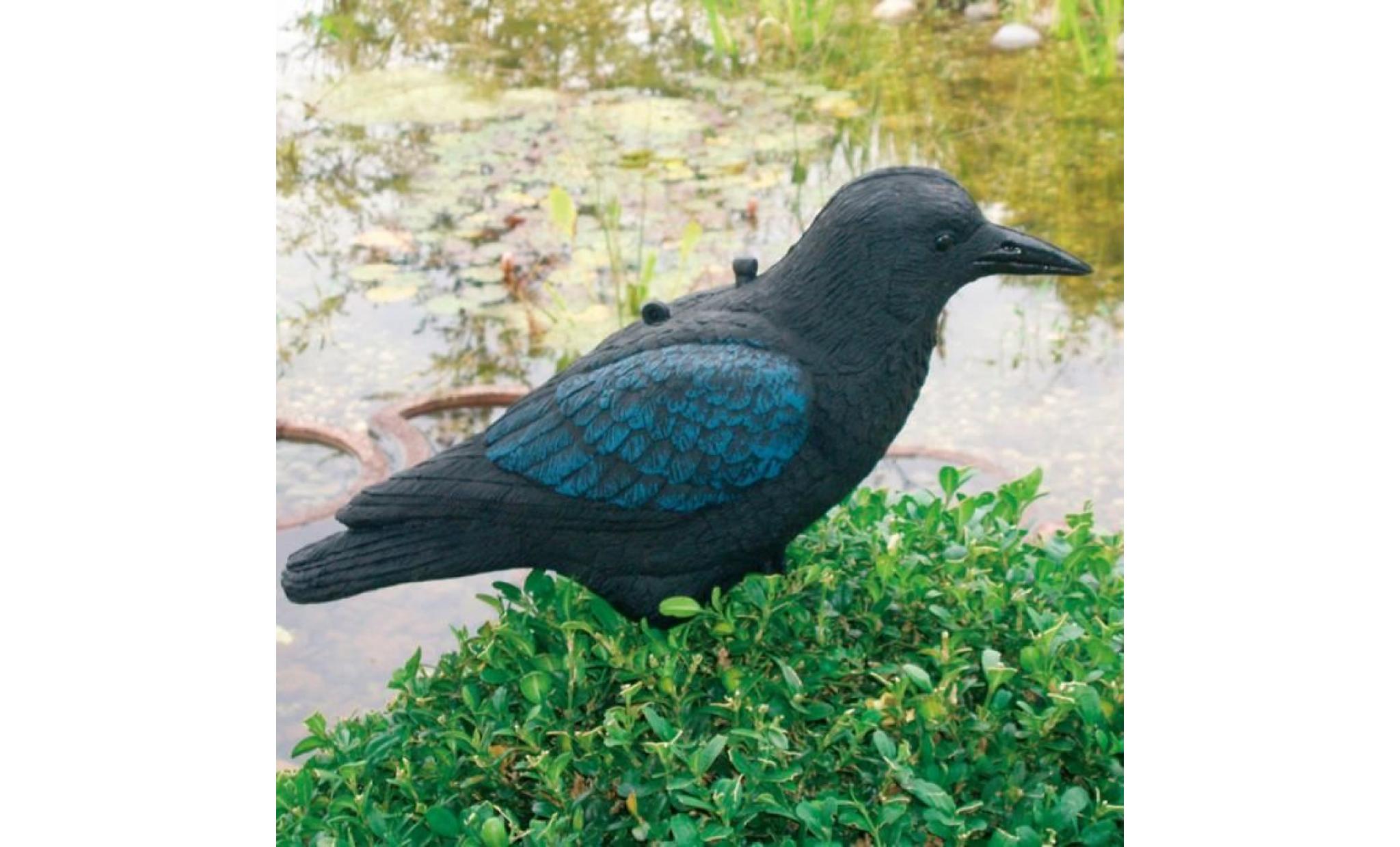 magnifique ubbink statue de corbeau 27 cm noir