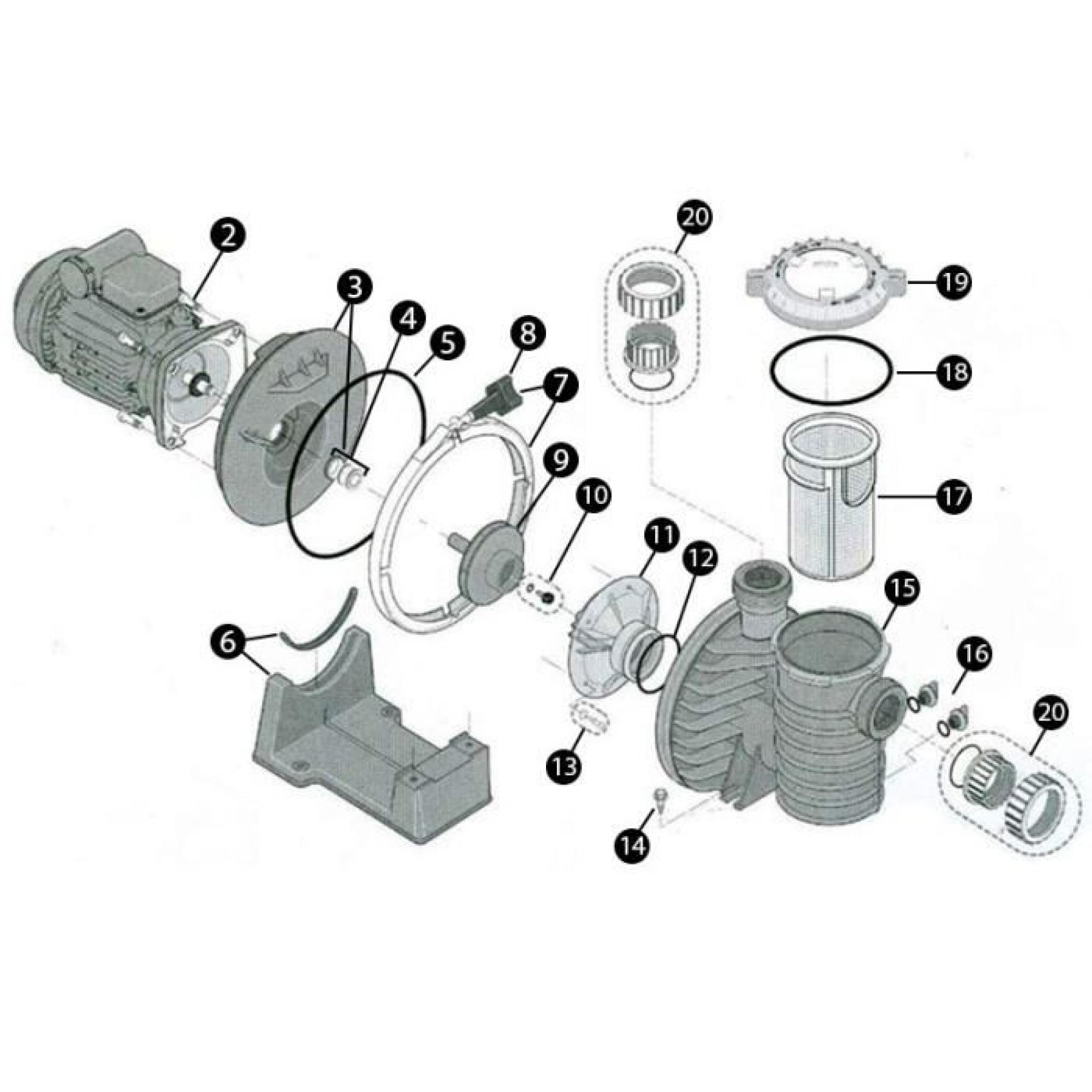 N°3 - Plateau d’étanchéité et garniture mécanique (Version sel SW5P6R) pour pompe de filtration modèle Sta-Rite