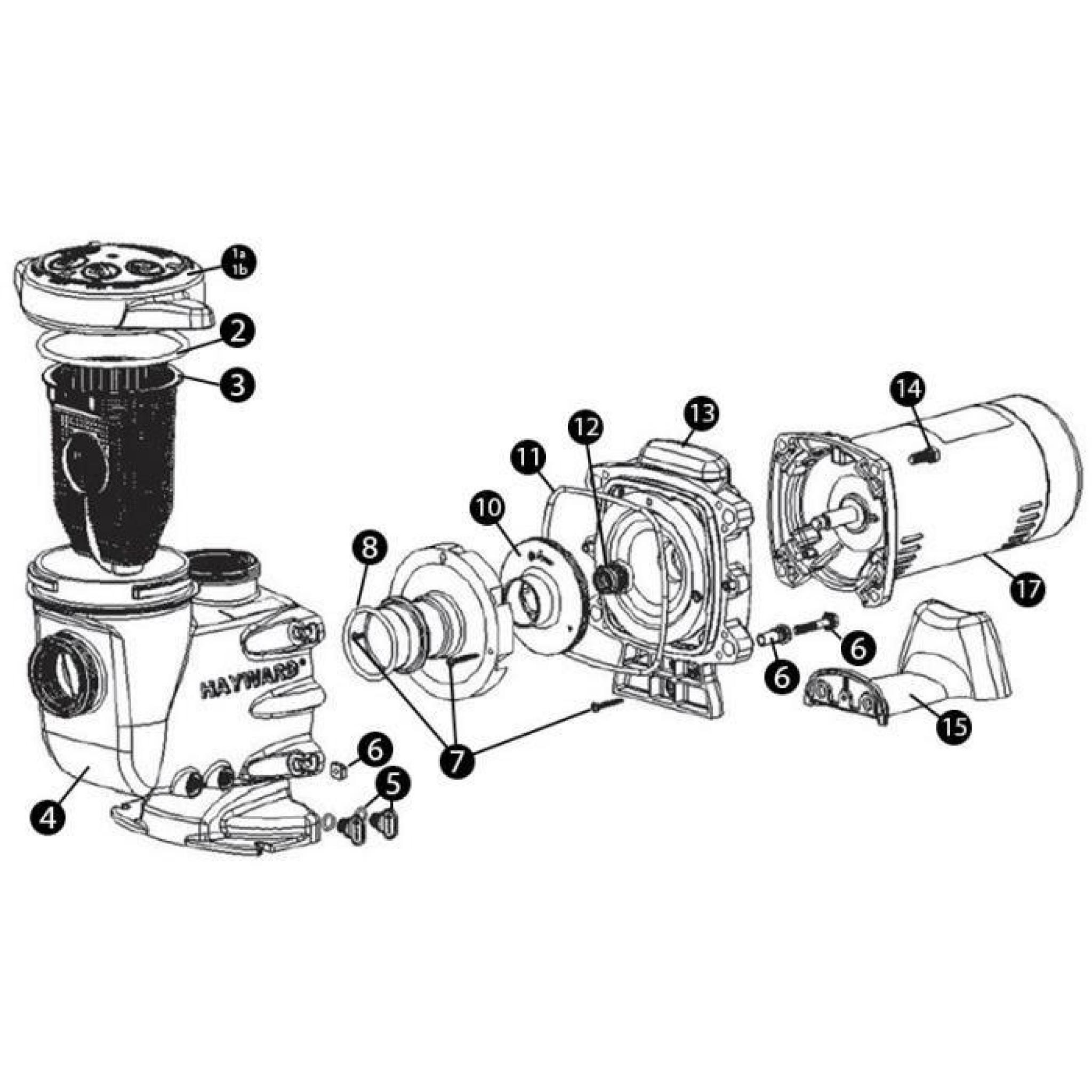 N°6 - Vis corps de pompe et inserts pour pompe de filtration modèle MAX FLO II