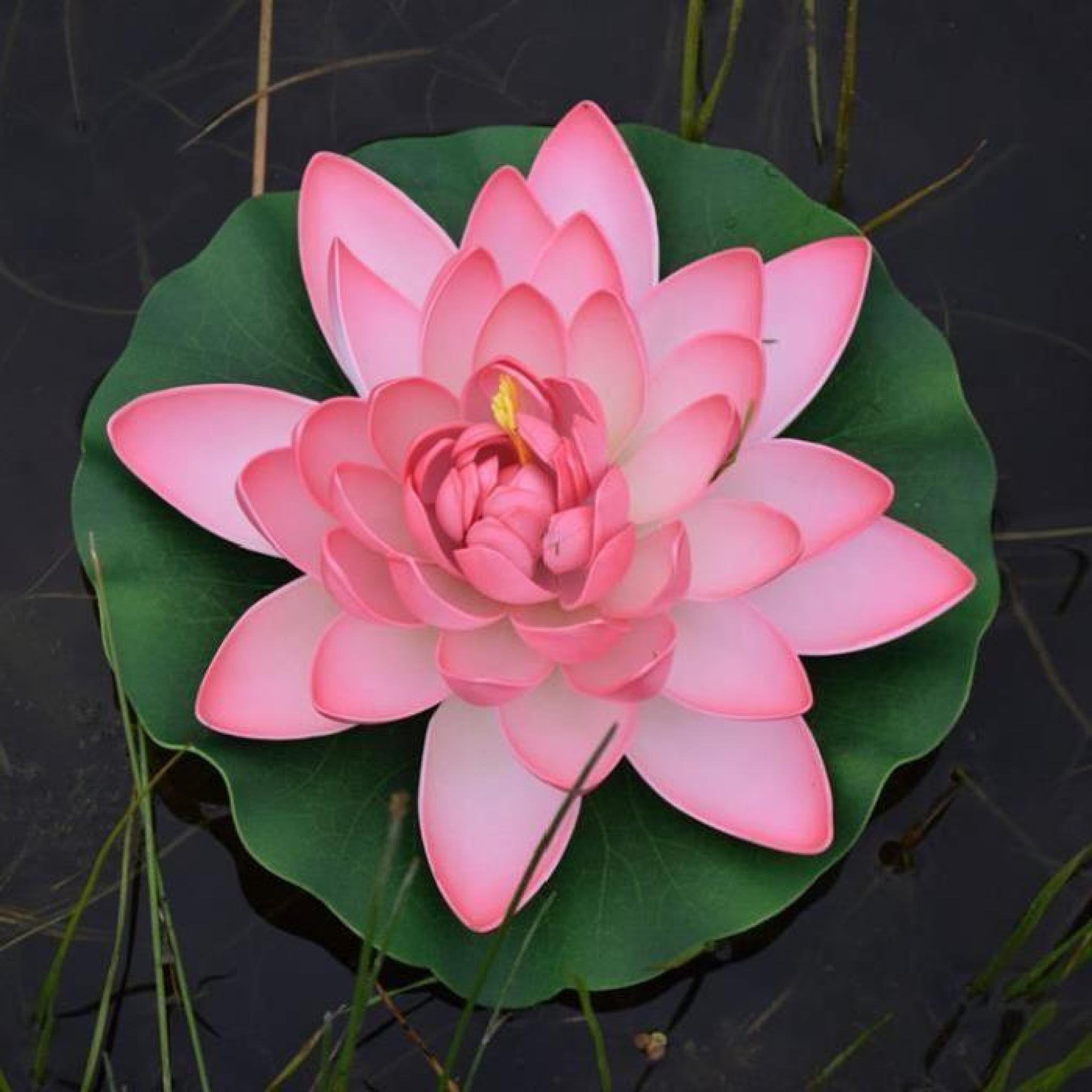 Nénuphar flottant pour bassin 28 cm - rose Rose pas cher