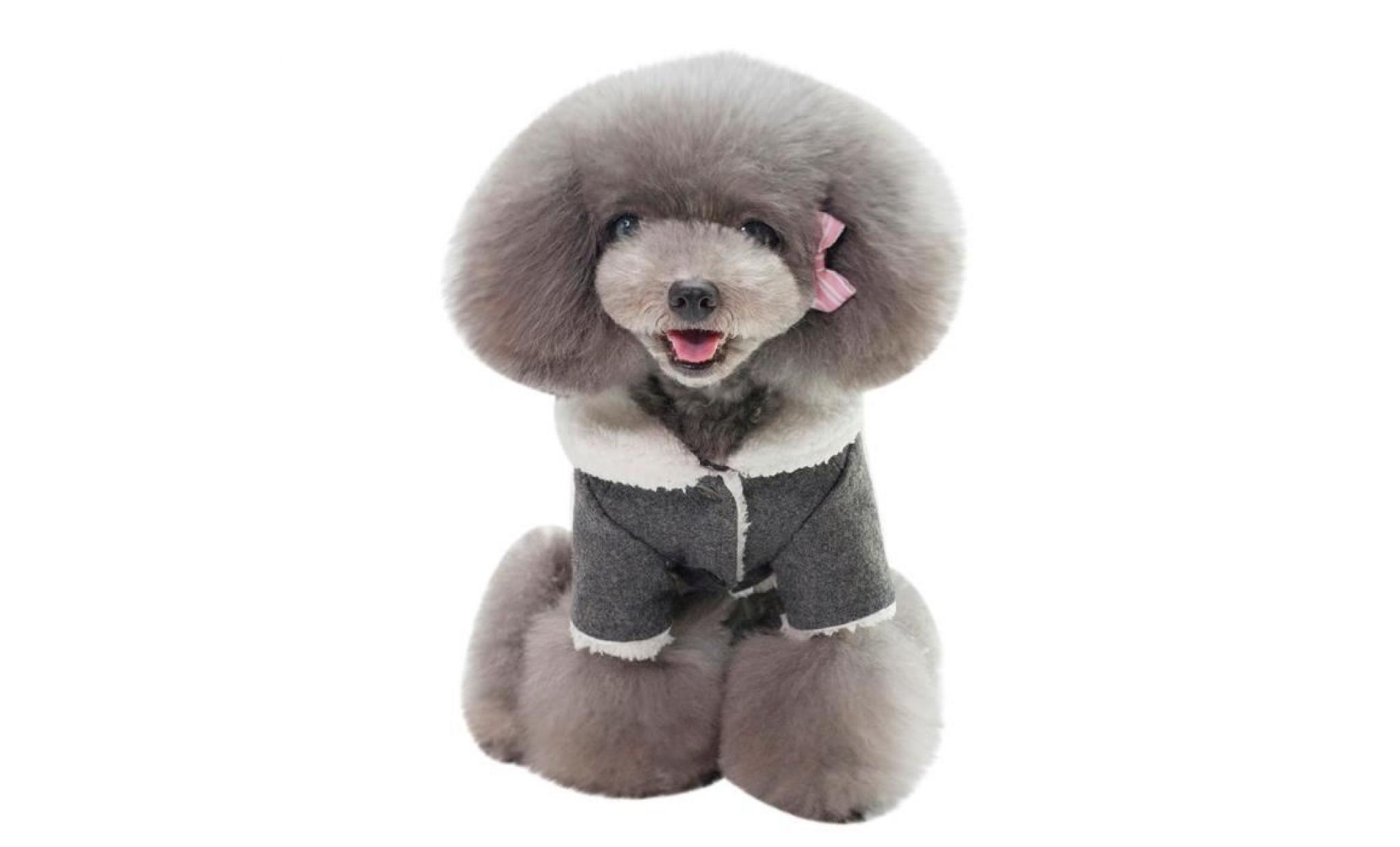 noir code m gris dogbaby nouveaux vêtements pour chiens animaux d'hiver usine spot directs modèles d'explosion du commerce pas cher