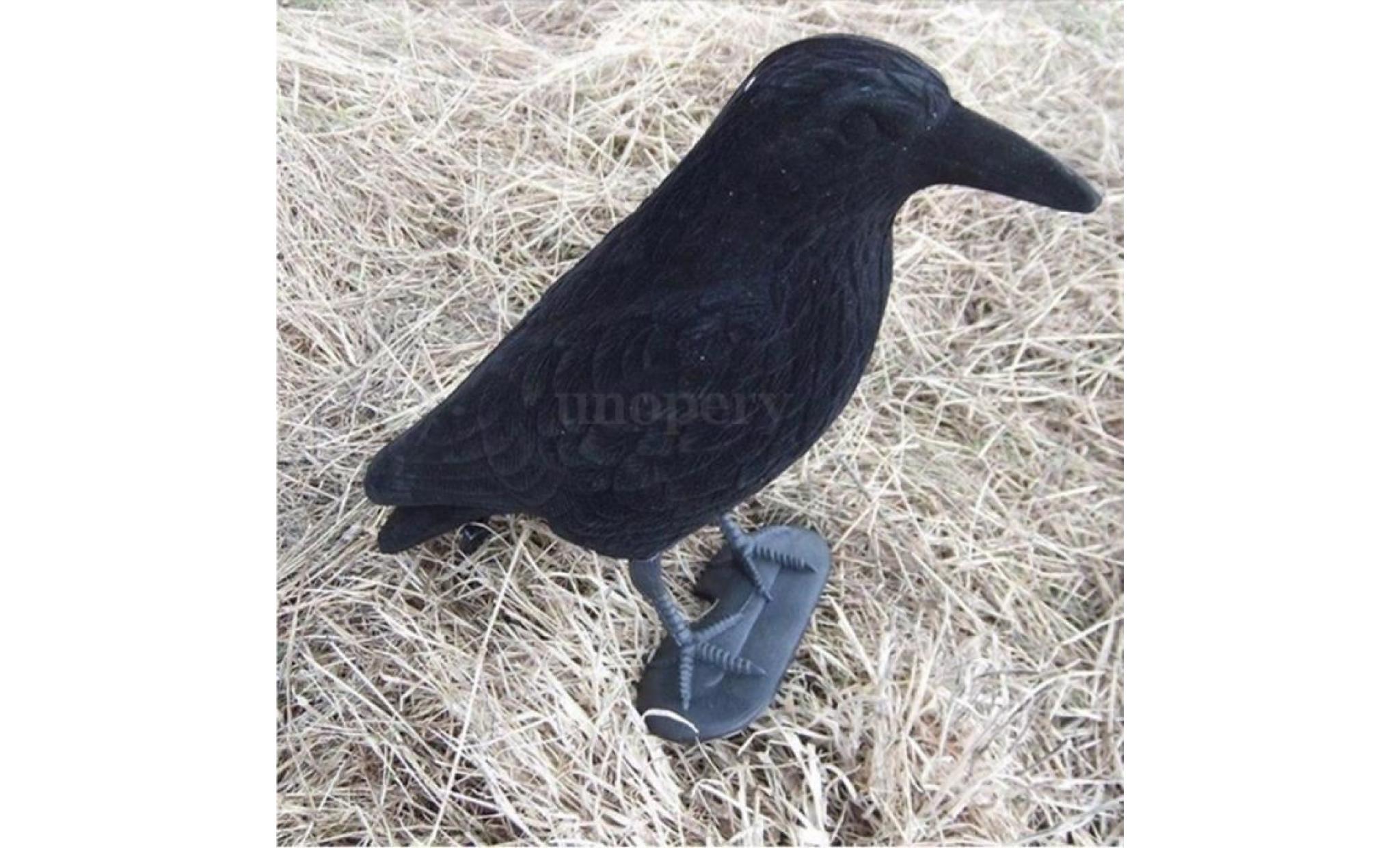 oiseaux et oiseaux pigeons Épouvantail dissuasion crow scaccia dissuader pas cher