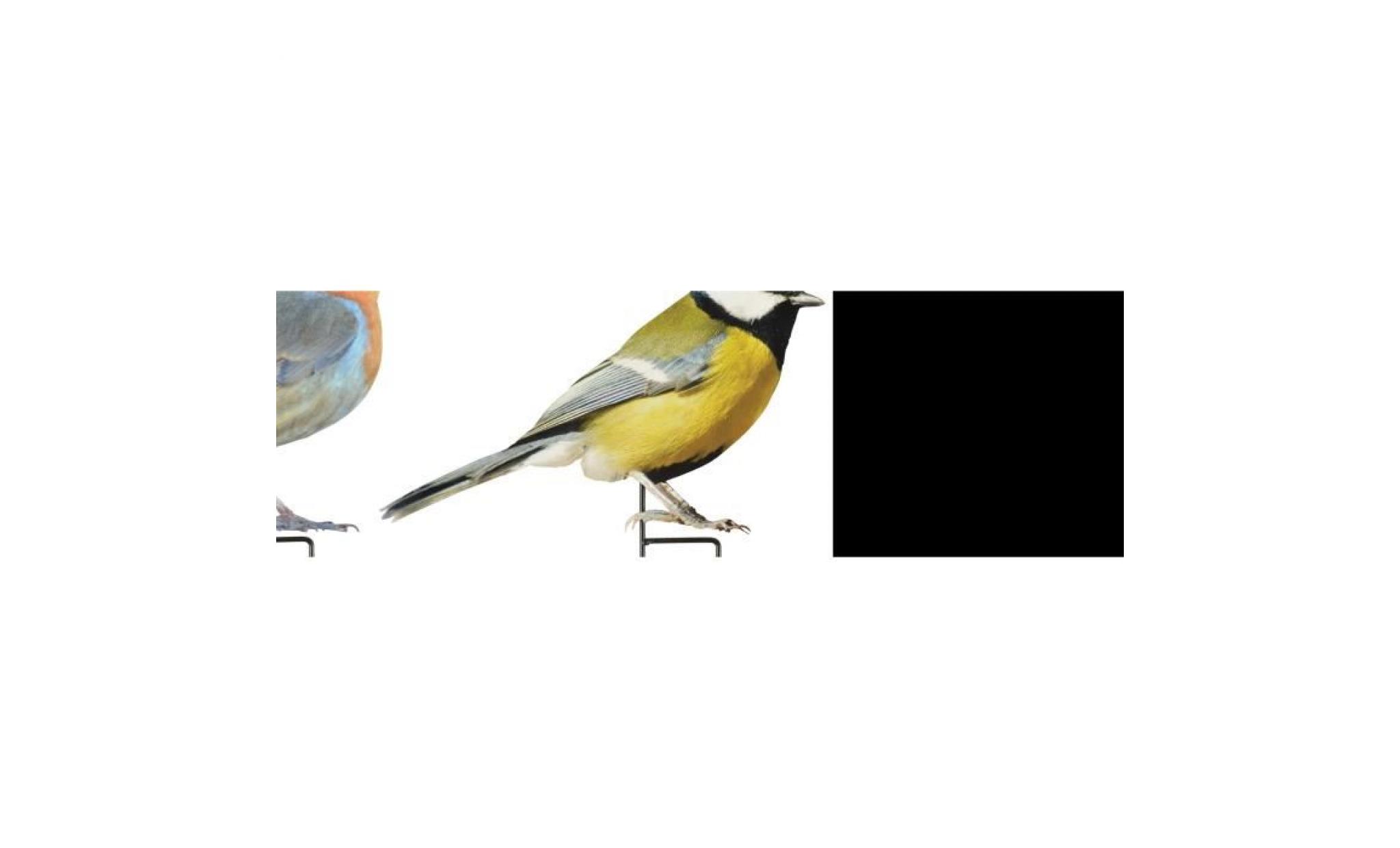 oiseaux sur pique (lot de 2)  multicolore
