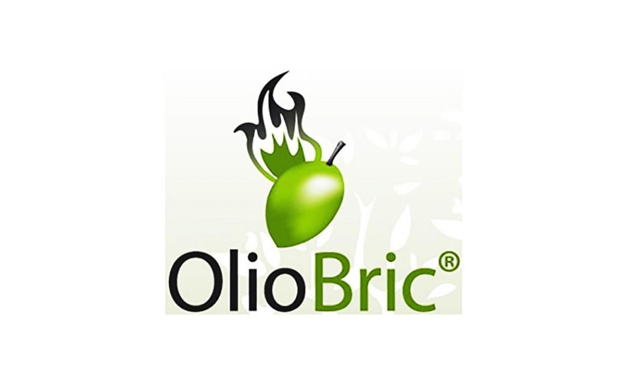 olio bric, 24 kg grill brikett fabriqué a partir d'huile de pépin d'olives pas cher
