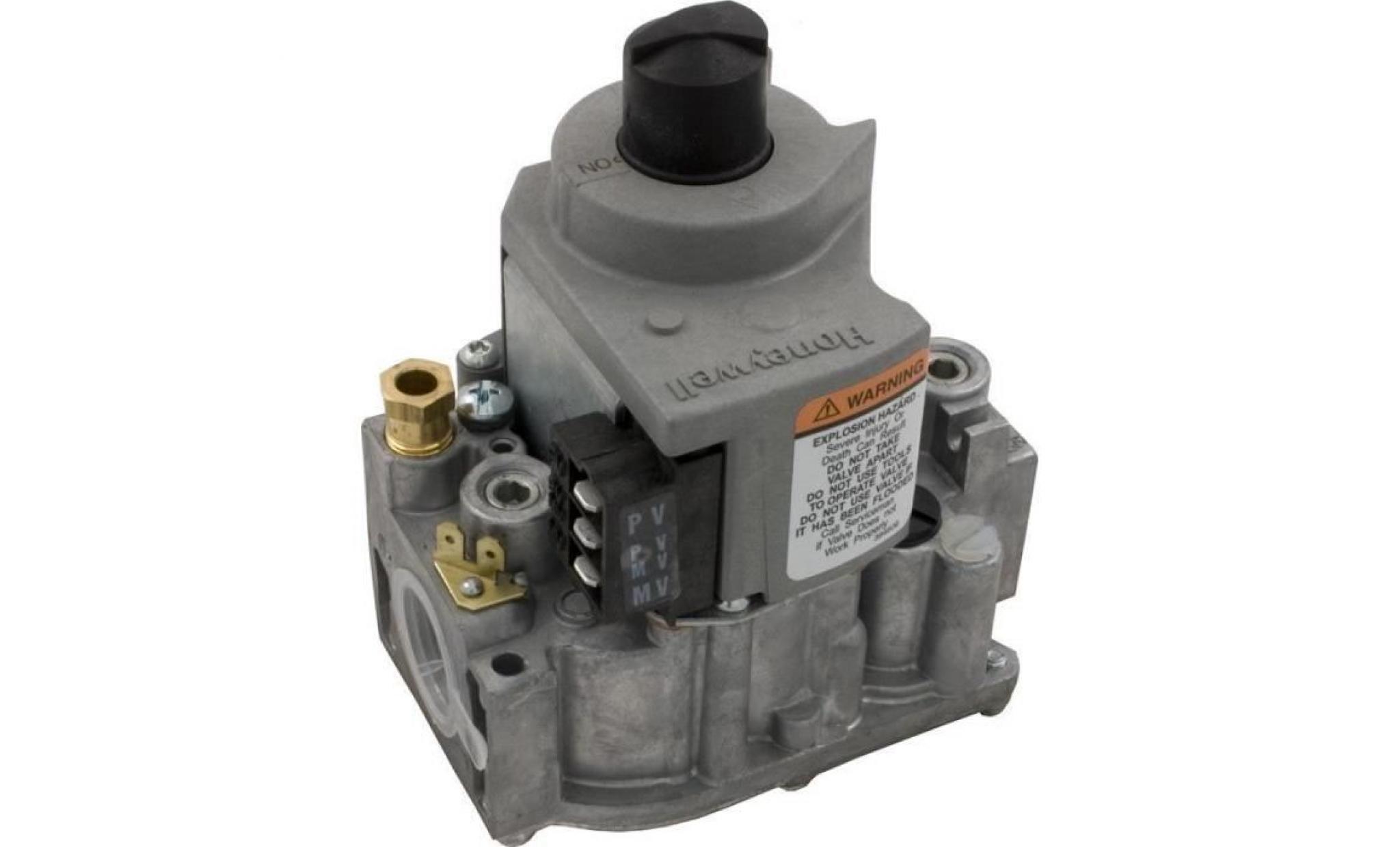 pentair 073999 iid gaz propane remplacement valvulaire minimax et chauffage powermax