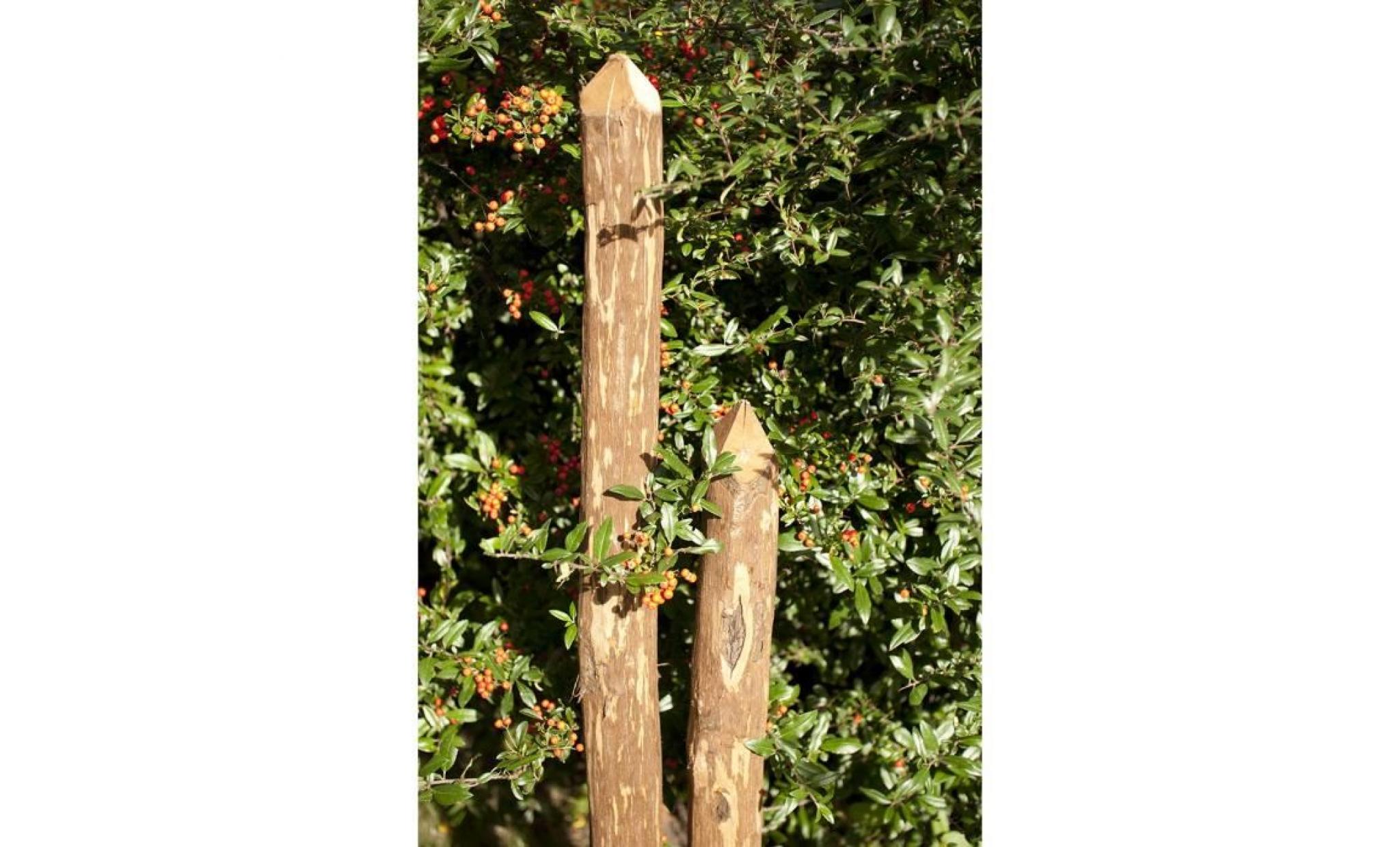 Piquet de clôture, végétal Poteau en bois de marronnier - rond, écorcé et pointu d'un côté, idéal po, Hauteur:150 cm