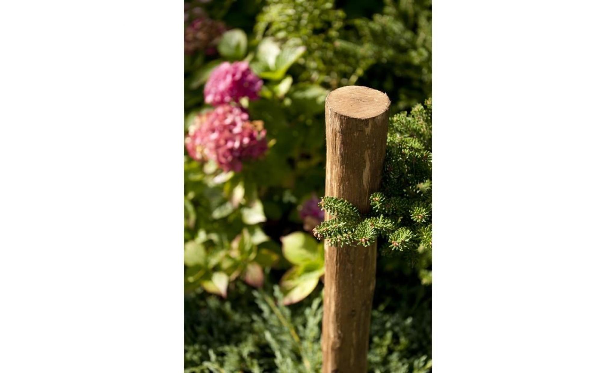 piquet de clôture, végétal poteau en bois de marronnier   rond, écorcé et pointu d'un côté, idéal po, hauteur:150 cm pas cher