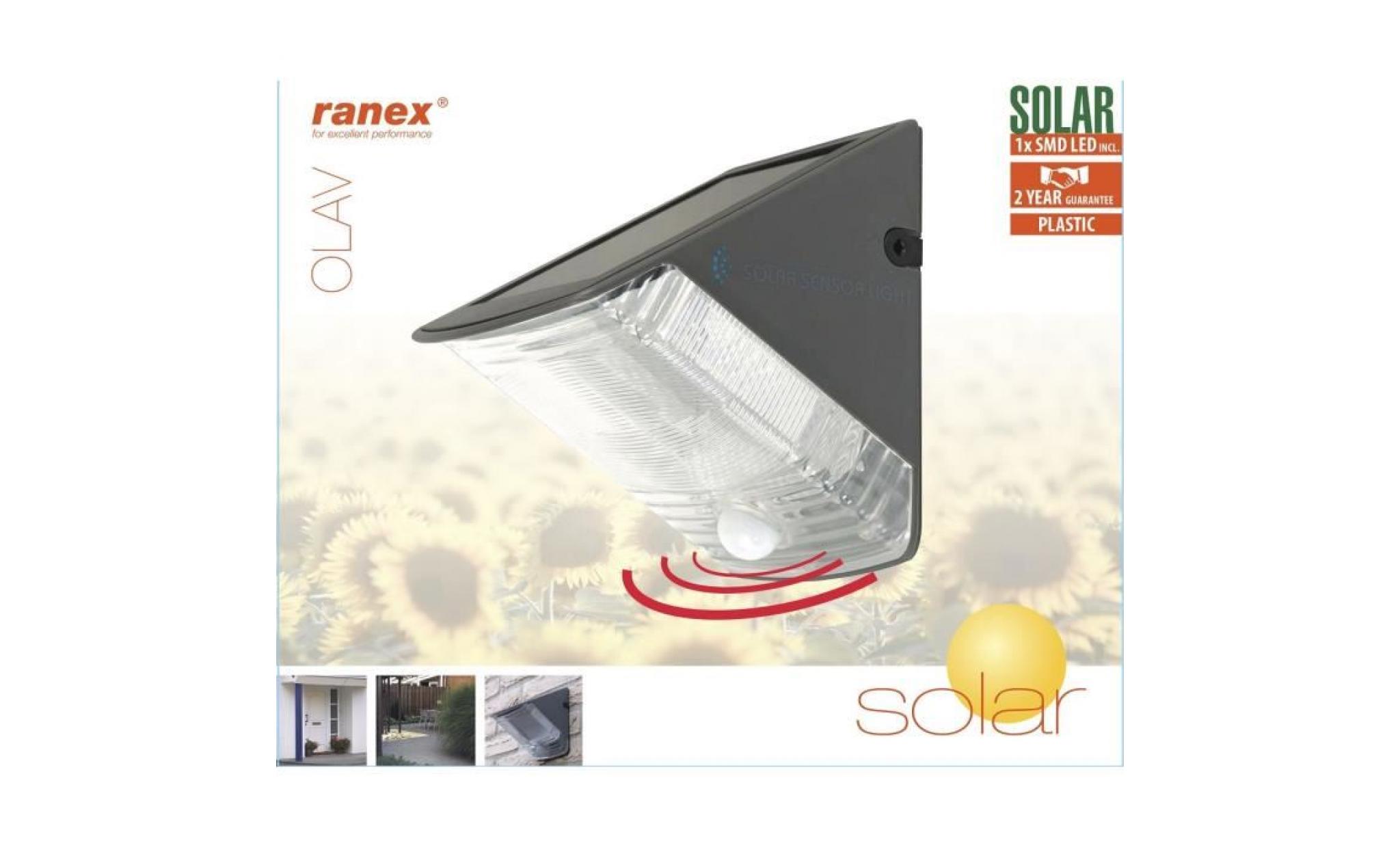 RANEX Applique solaire Olav avec détecteur de mouvement - Noir pas cher