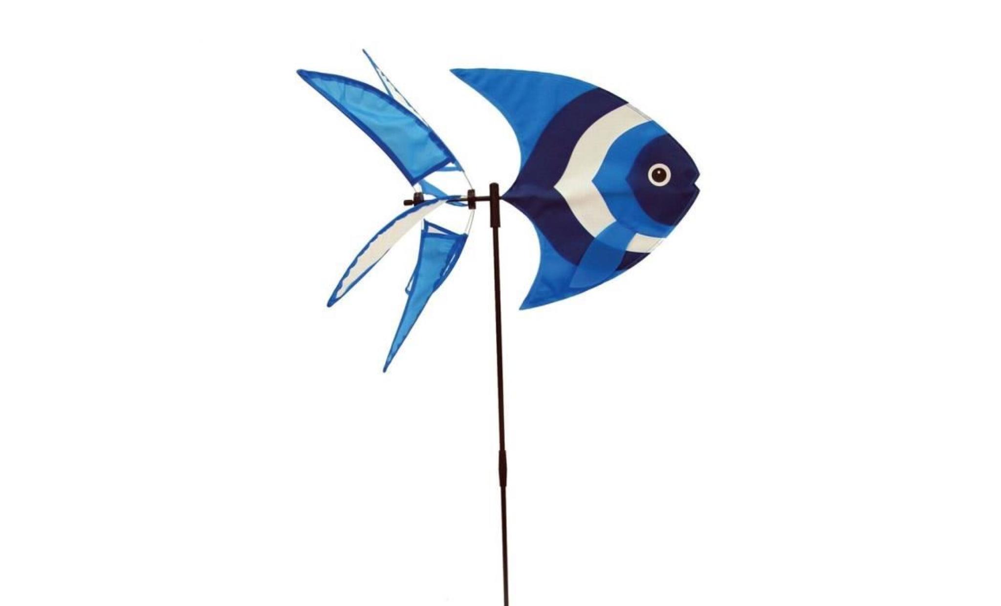 rhombus moulin à vent poisson bleu