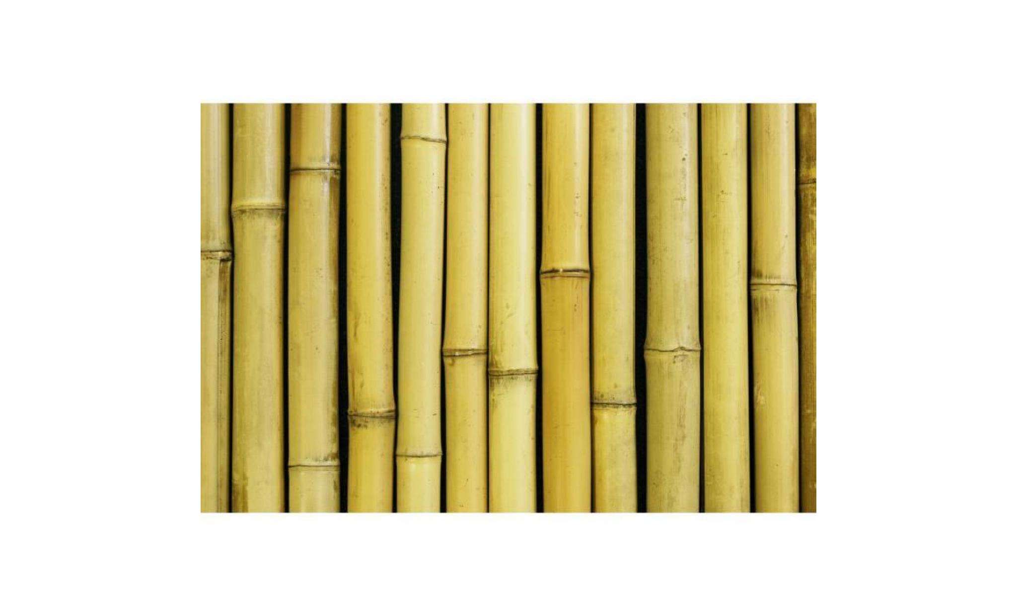 rouleau de bambou epais blanc papillon™  l1.9m x h1.8m pas cher