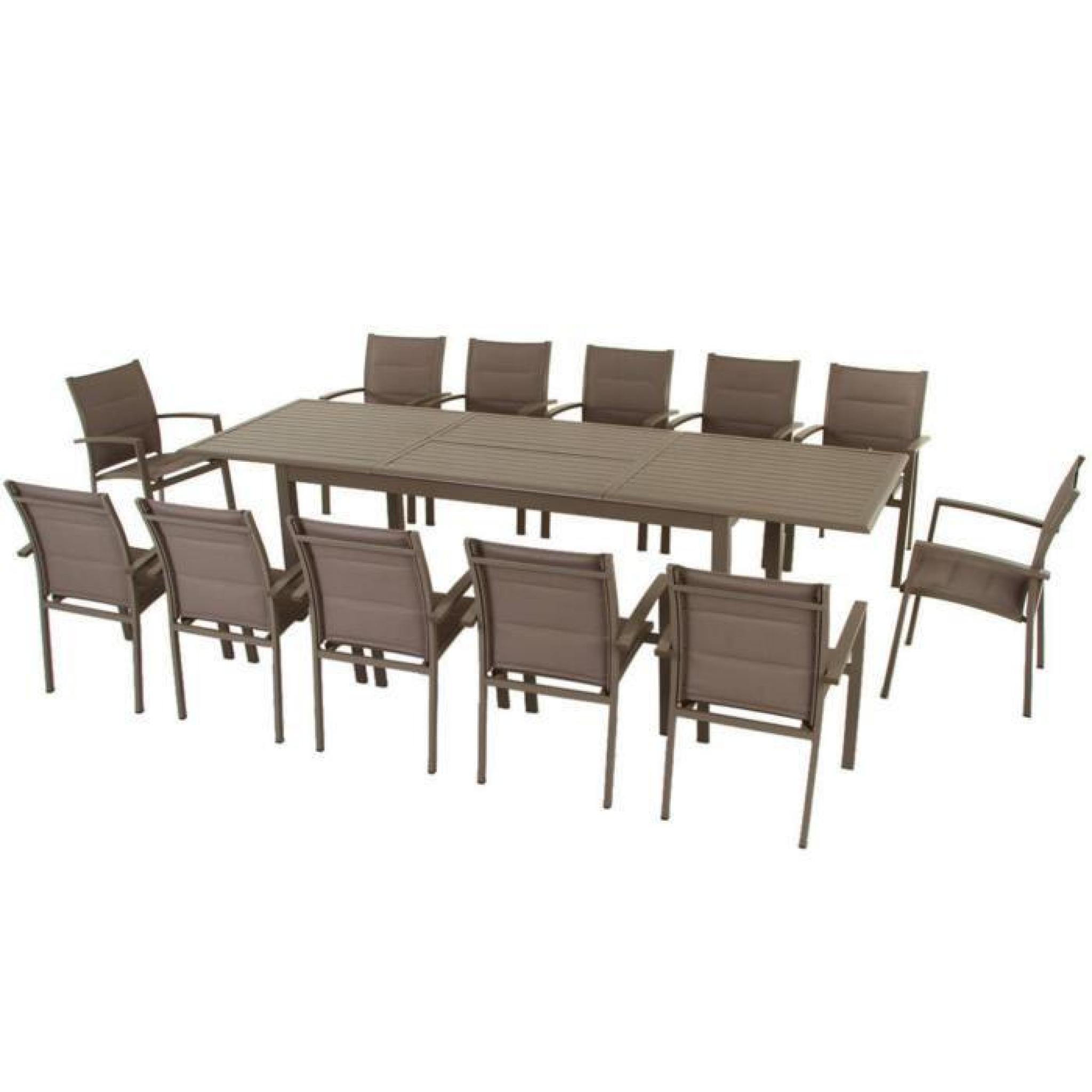 Table extensible en aluminium de couleur taupe- Dim : L 200/300 x P 100 x H 75 cm  pas cher