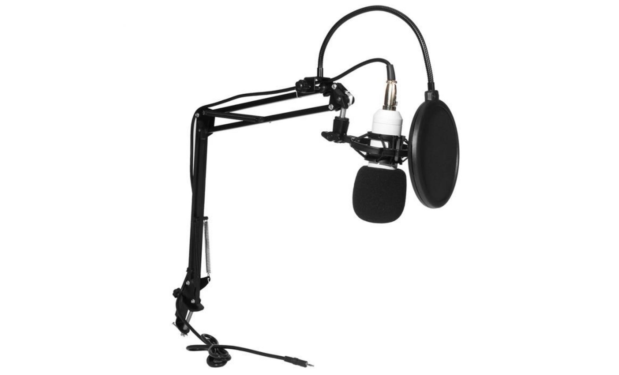 tempsa pro kit mic microphone à condensateur pour studio enregistrement audio réseau direct chanter 78db pas cher