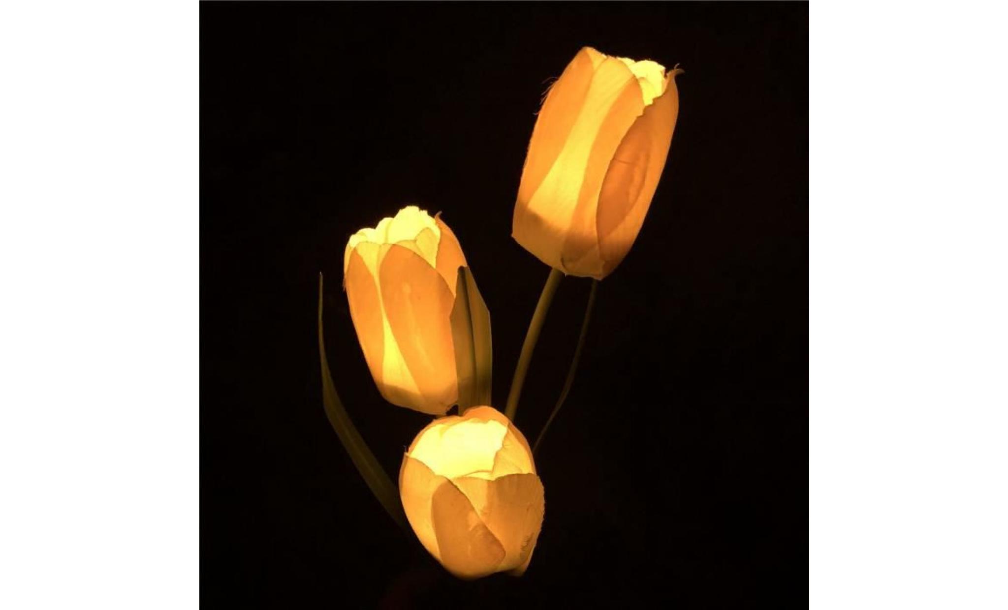 tulip   lampe à led solaire   blanc chaud gd44