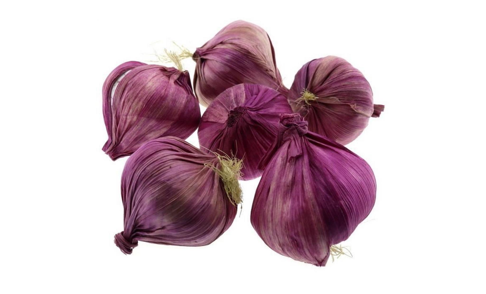 ukerdo 6 pcs artificiel violet garlic décoration faux légume accueil fête vacances afficher