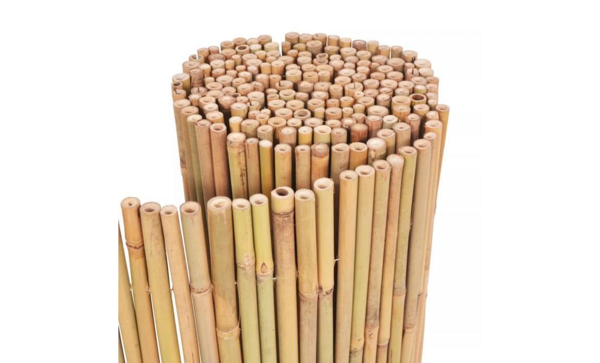 vidaxl clôture de jardin bambou 300 x 100 cm pas cher
